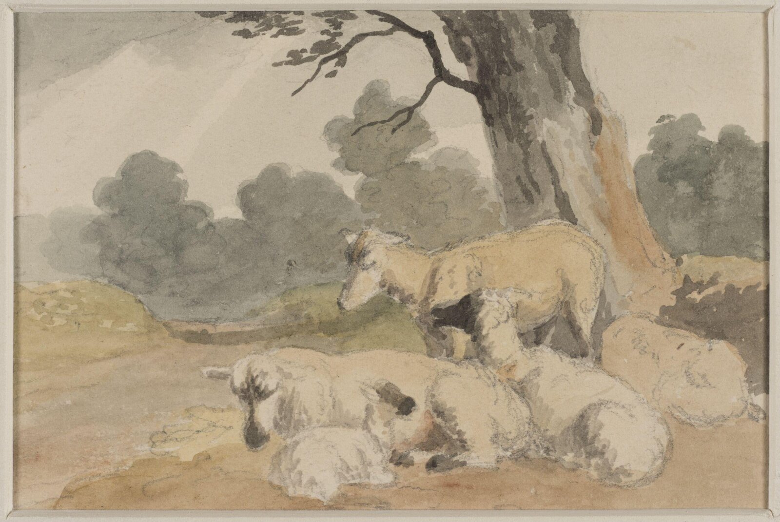 Drawing, Robert Hills, c.1800
