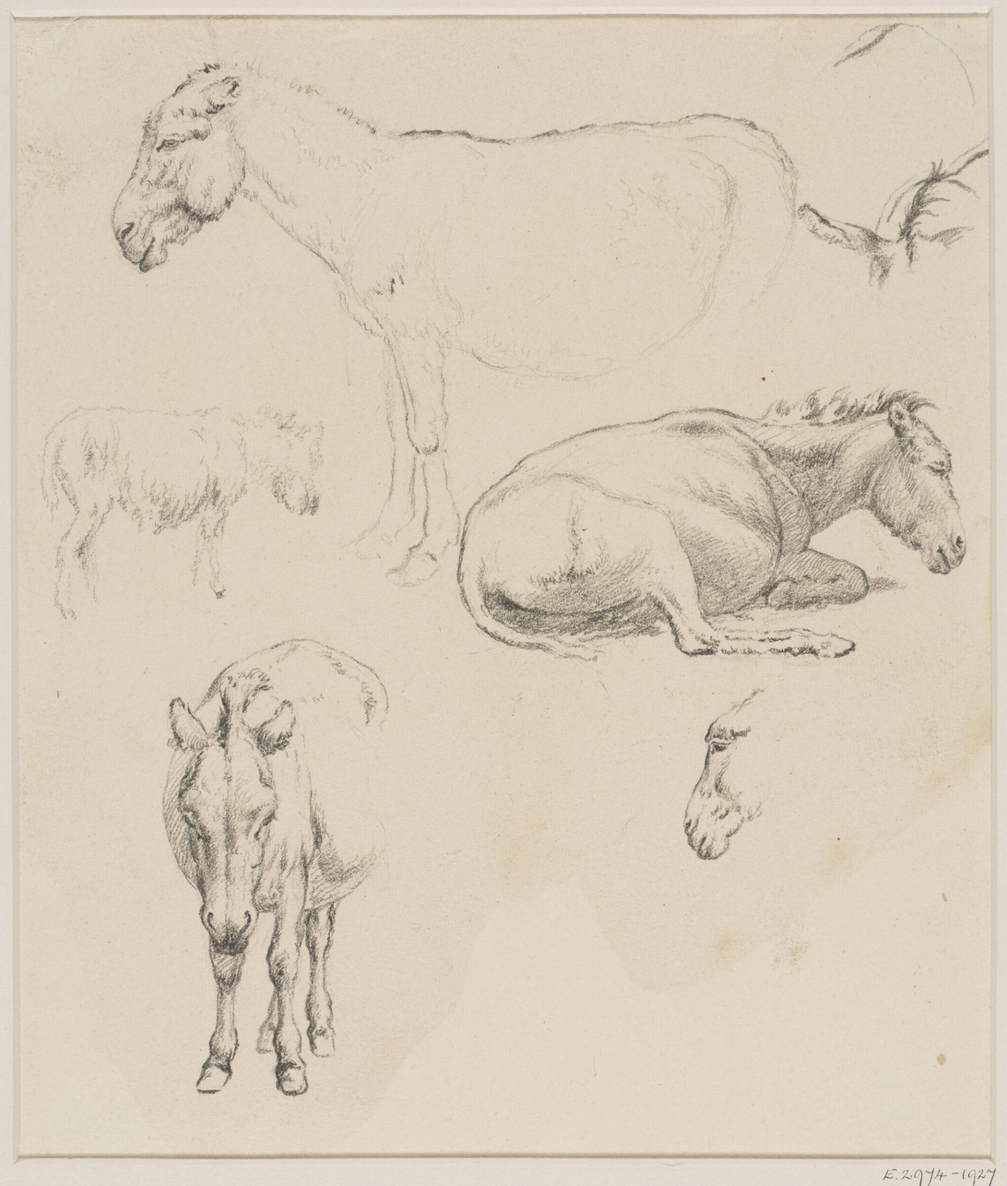 Drawing, Robert Hills, c.1800