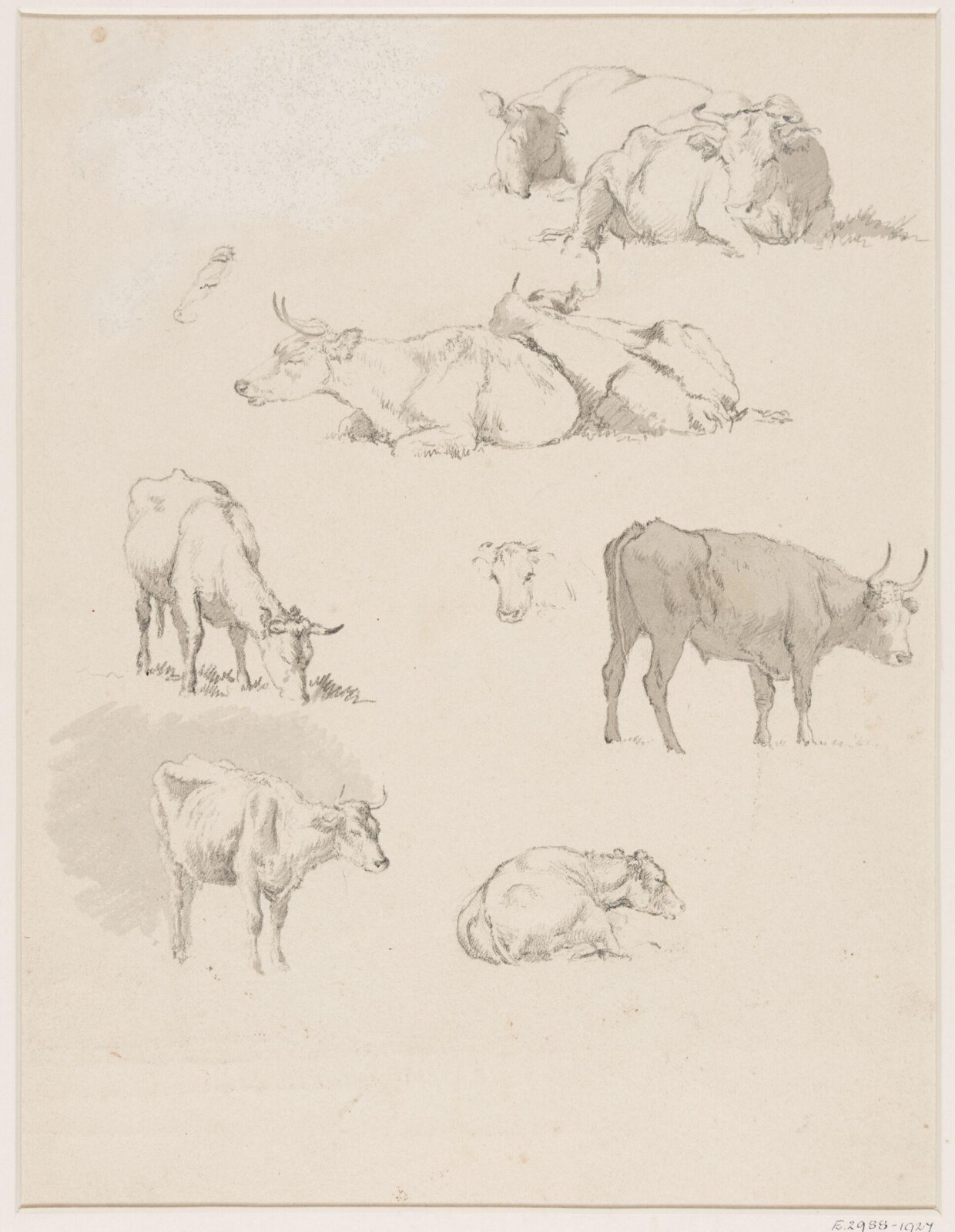 Drawing, Robert Hills, c.1800