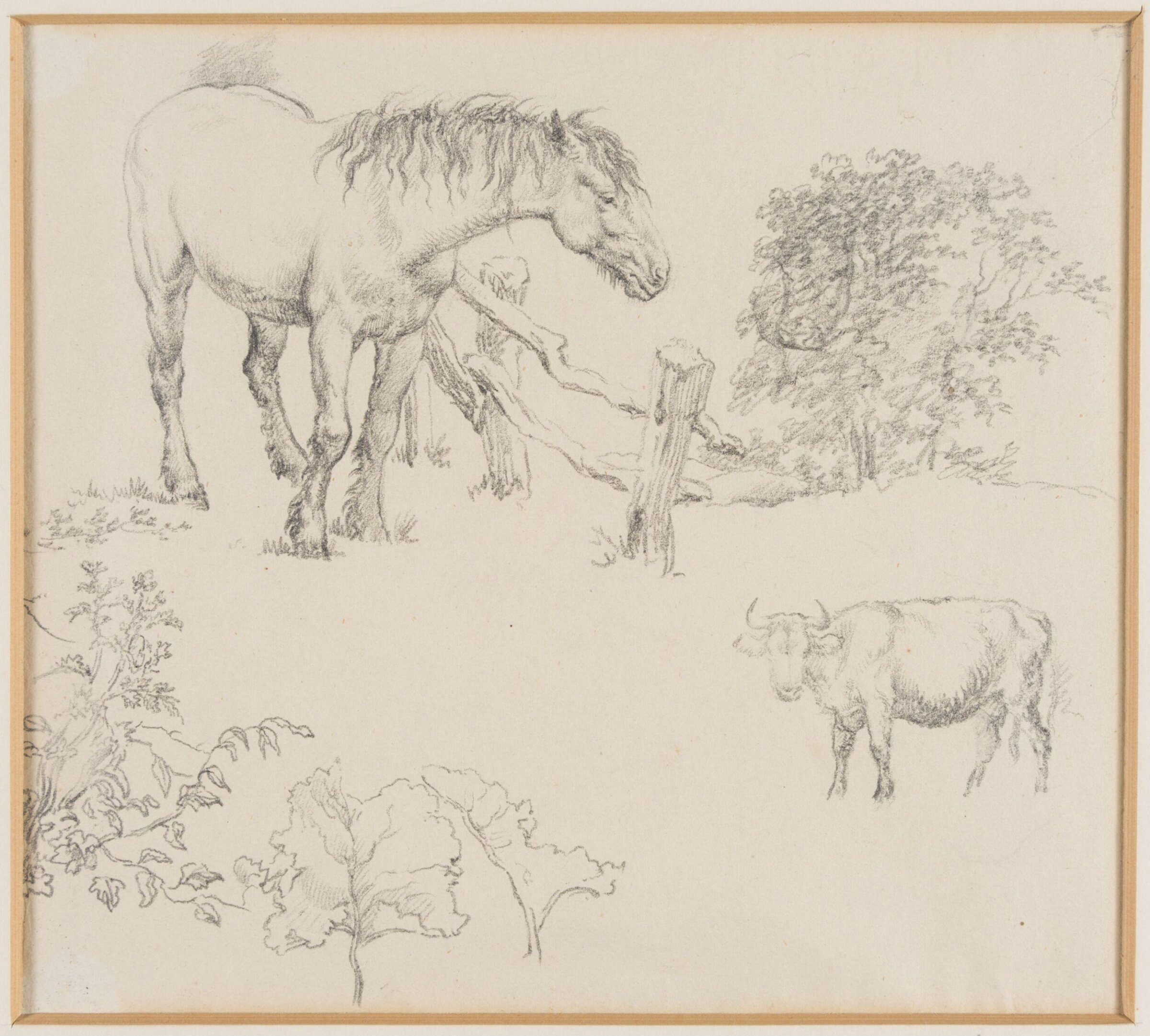 Drawing, Robert Hills, c.1800