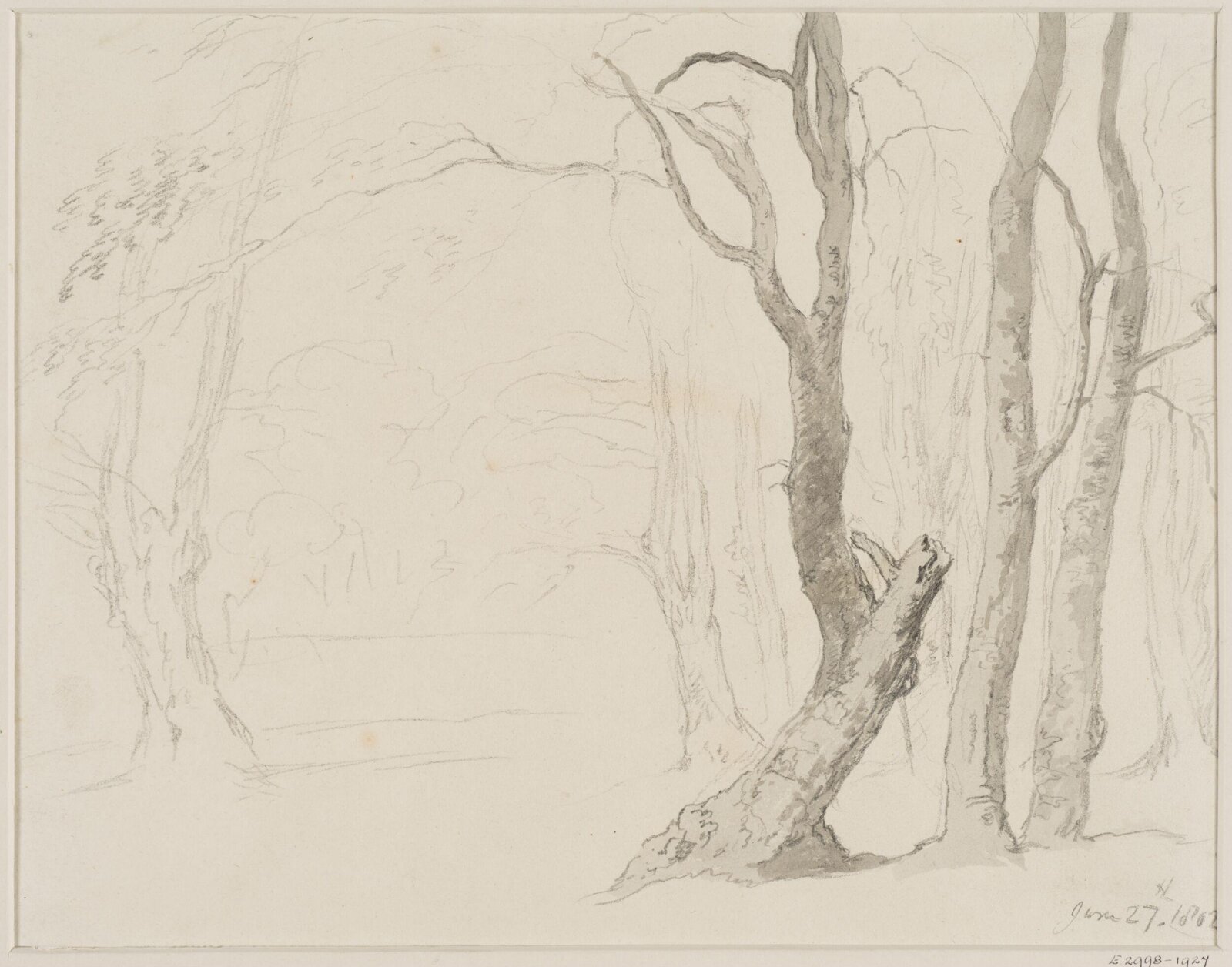 Study of Trees, Robert Hills, 27 June 1802