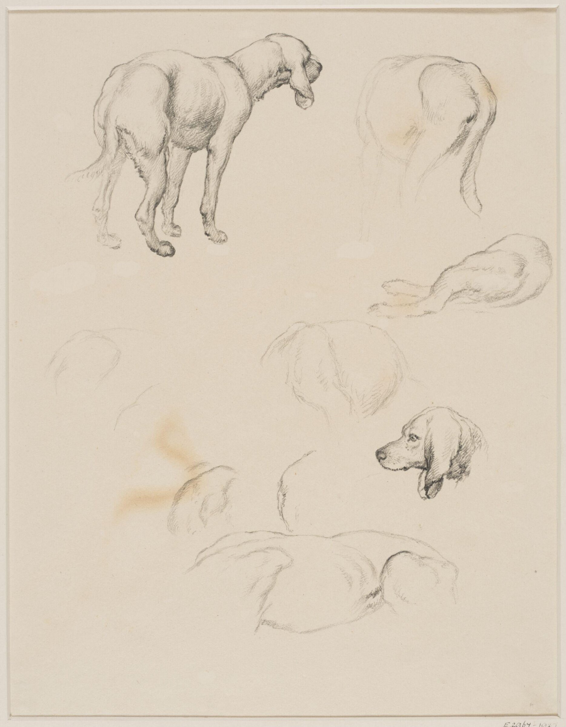 Drawing, Robert Hills, c.1800