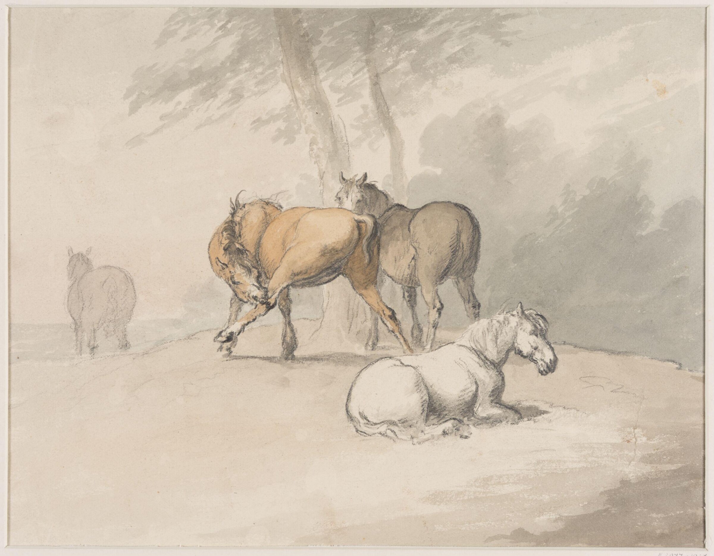 Drawing, Robert Hills, c.1800