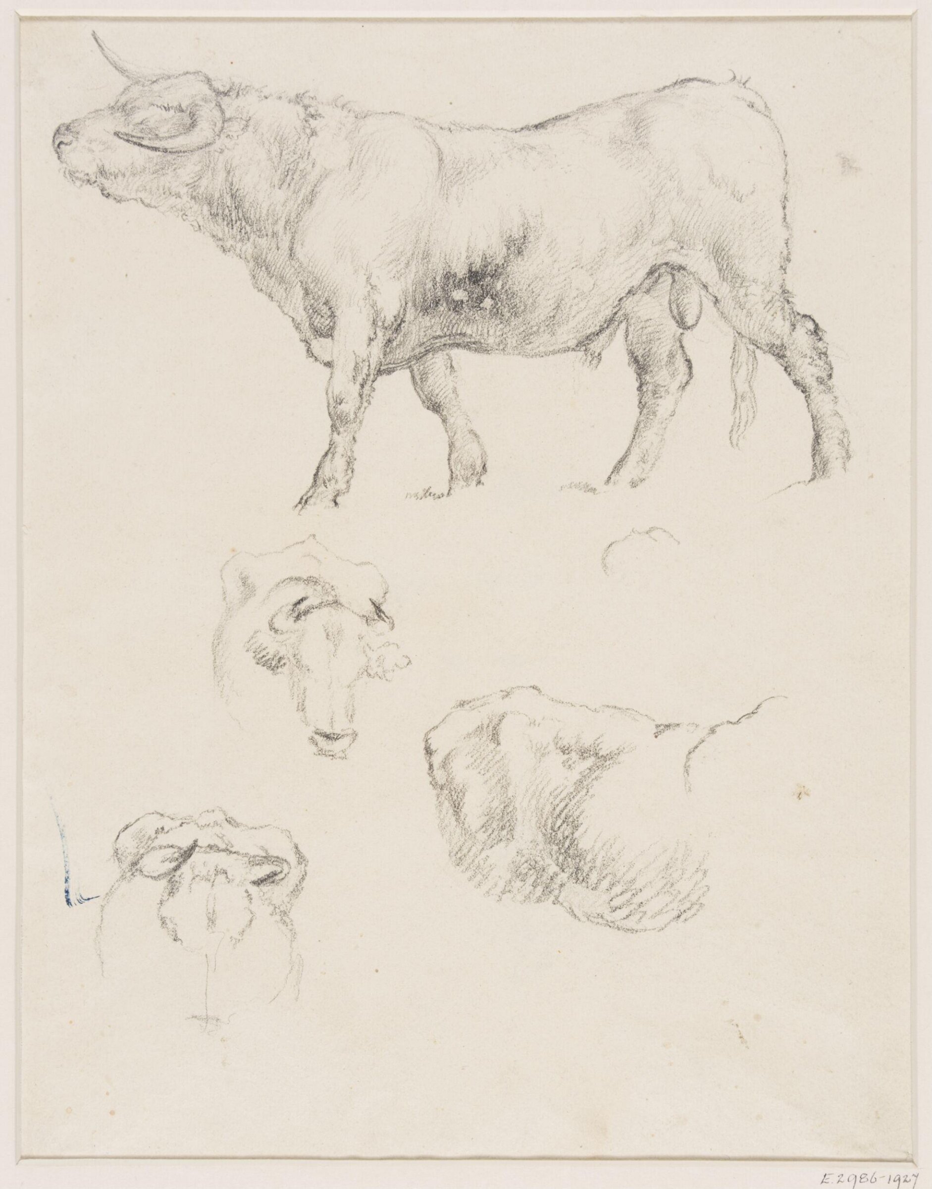 Drawing, Robert Hills, c.1800