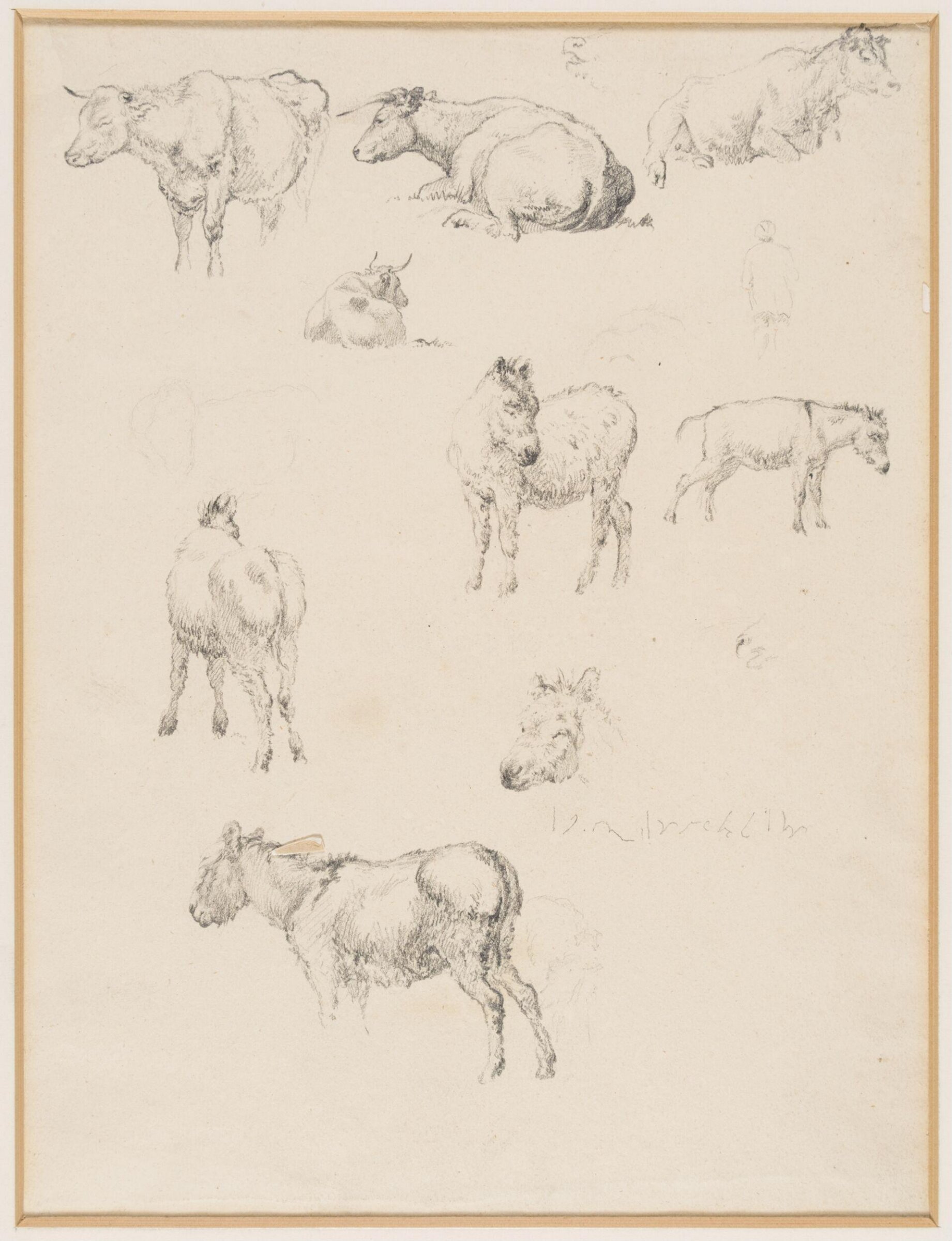 Drawing, Robert Hills, c.1800