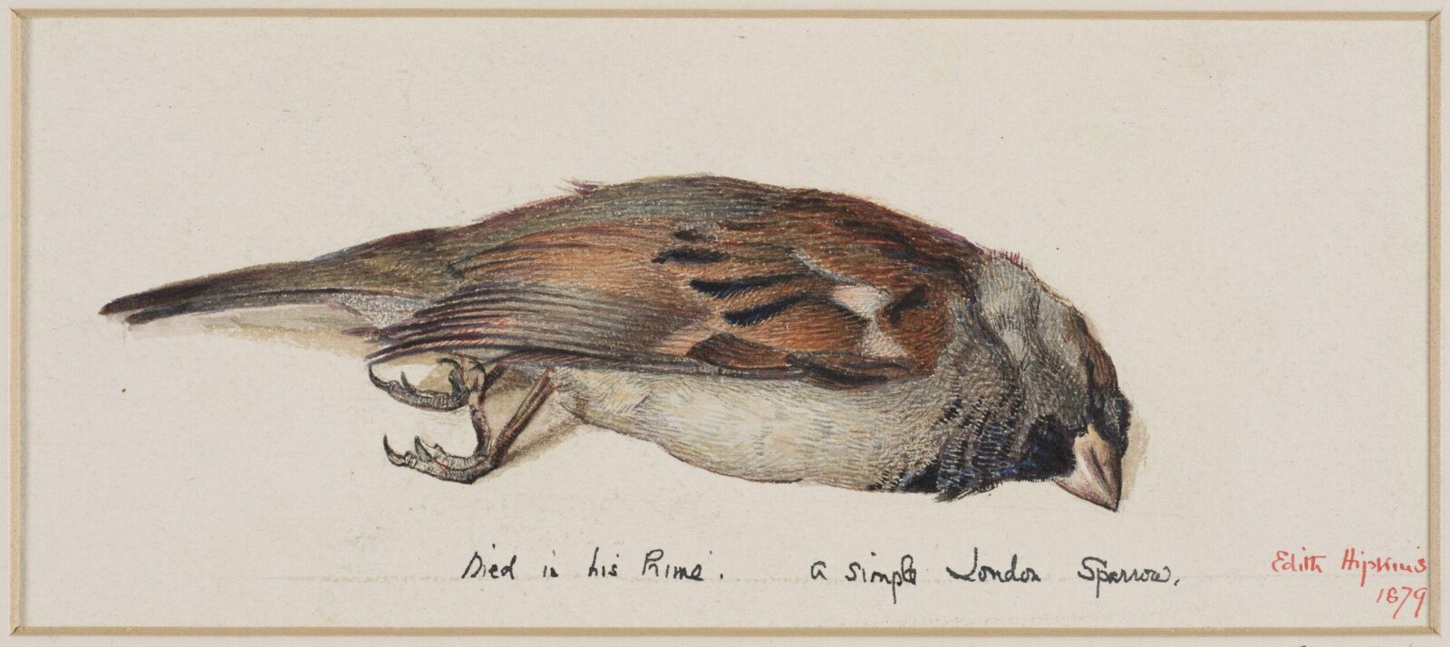 Drawing, Edith Hipkins, 1879
