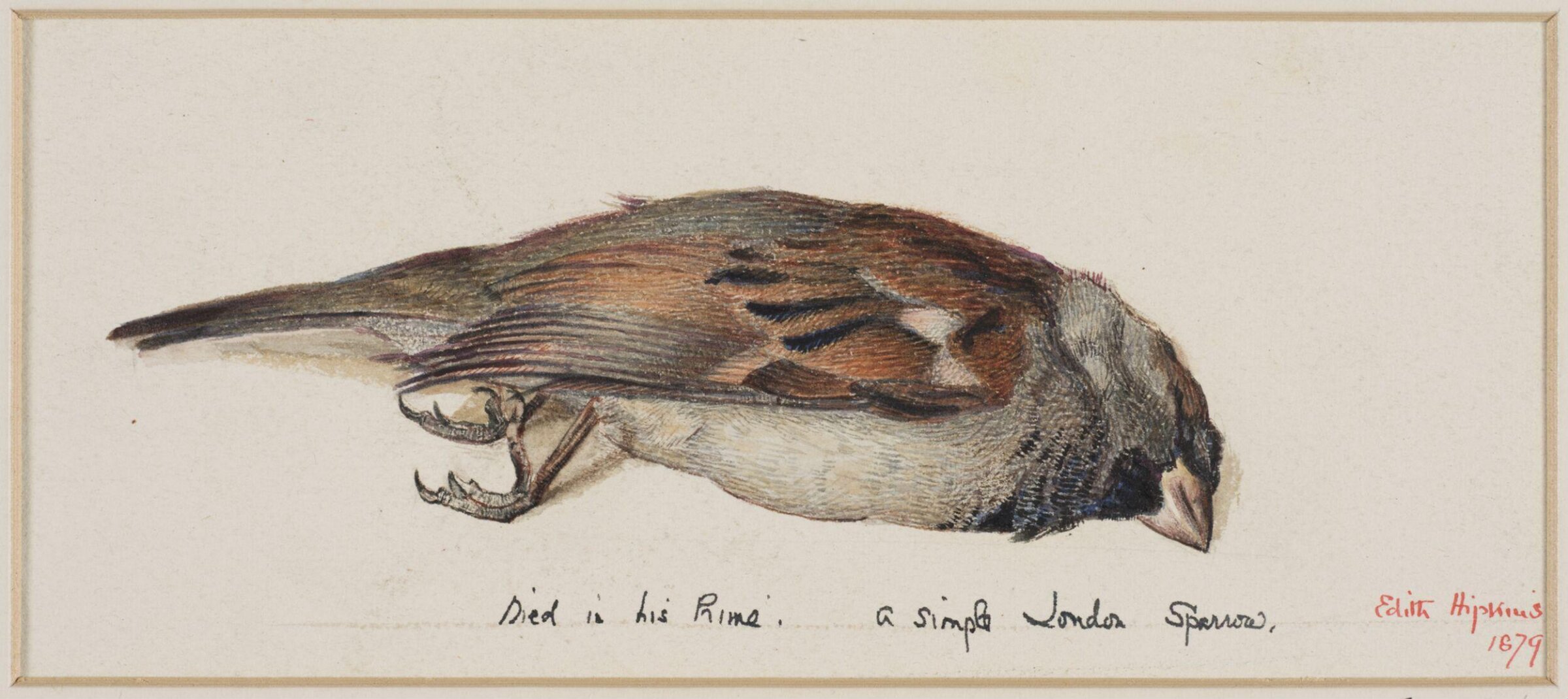 Drawing, Edith Hipkins, 1879