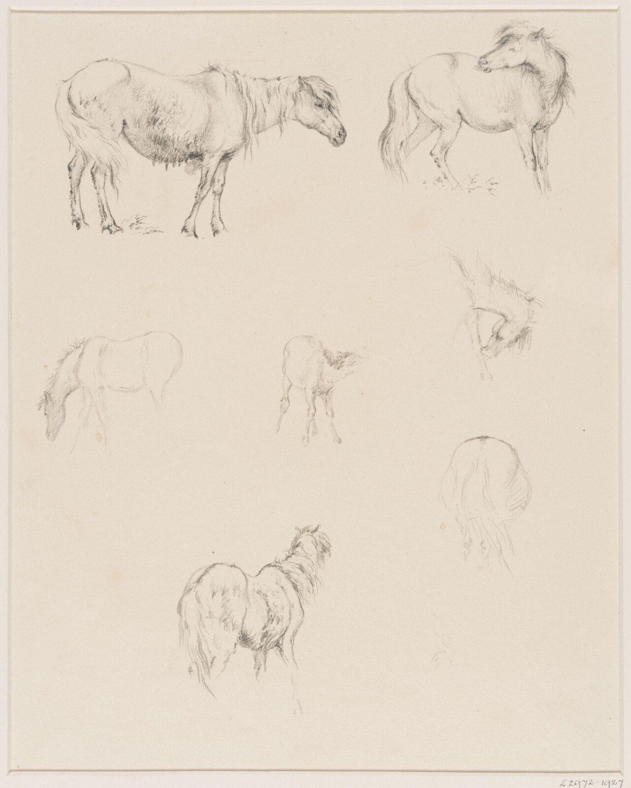 Drawing, Robert Hills, c.1800