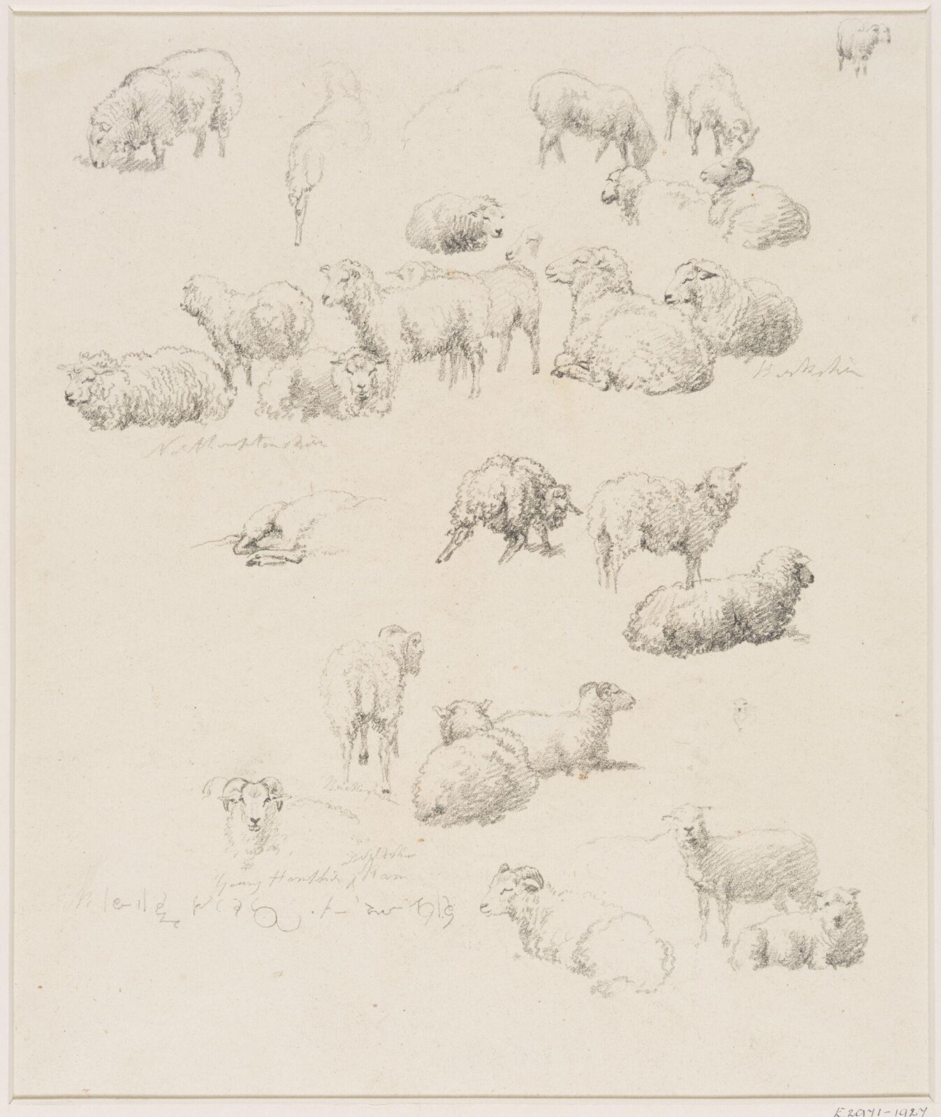 Drawing, Robert Hills, c.1800