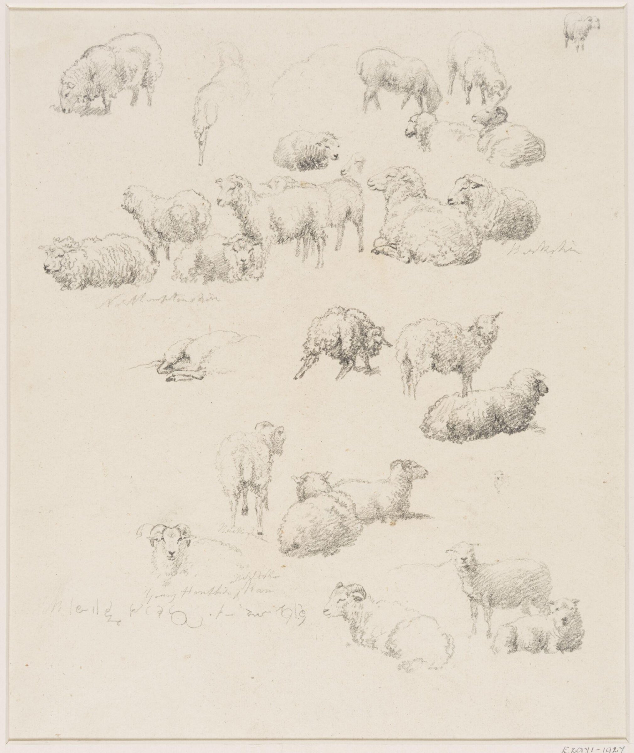 Drawing, Robert Hills, c.1800