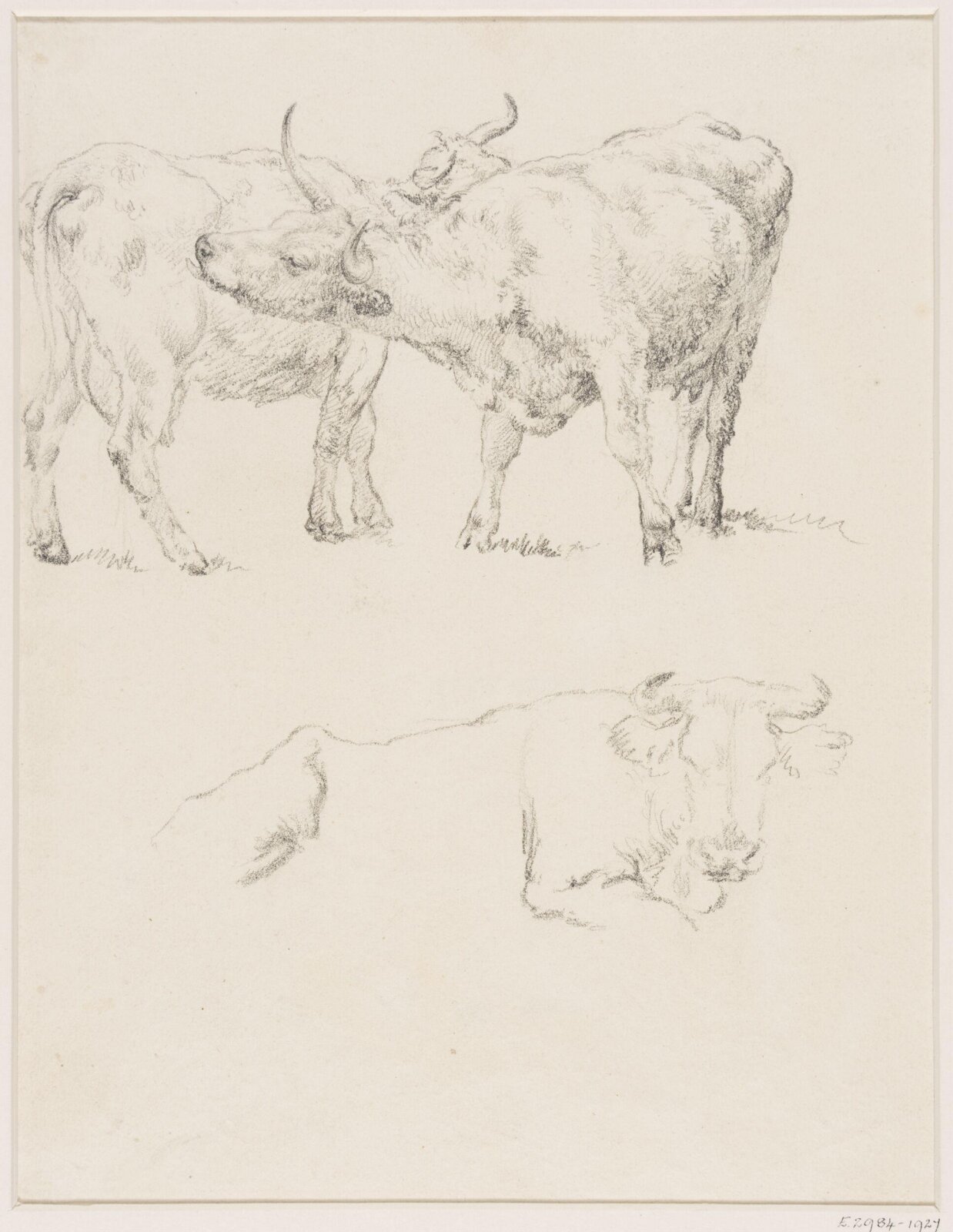 Drawing, Robert Hills, c.1800