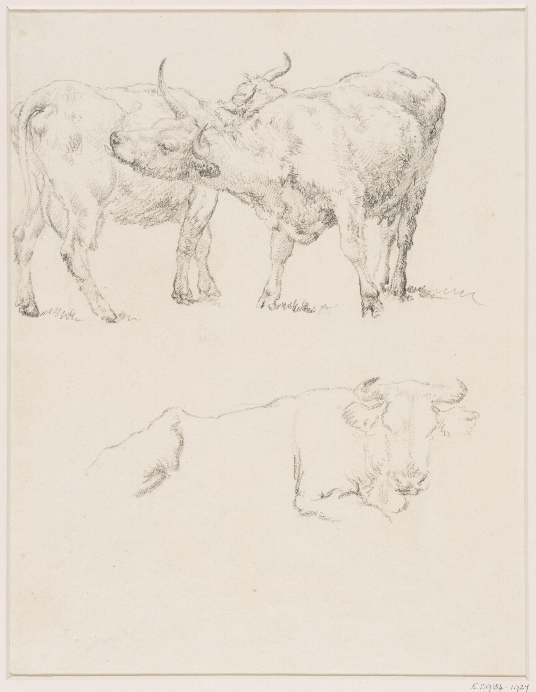 Drawing, Robert Hills, c.1800