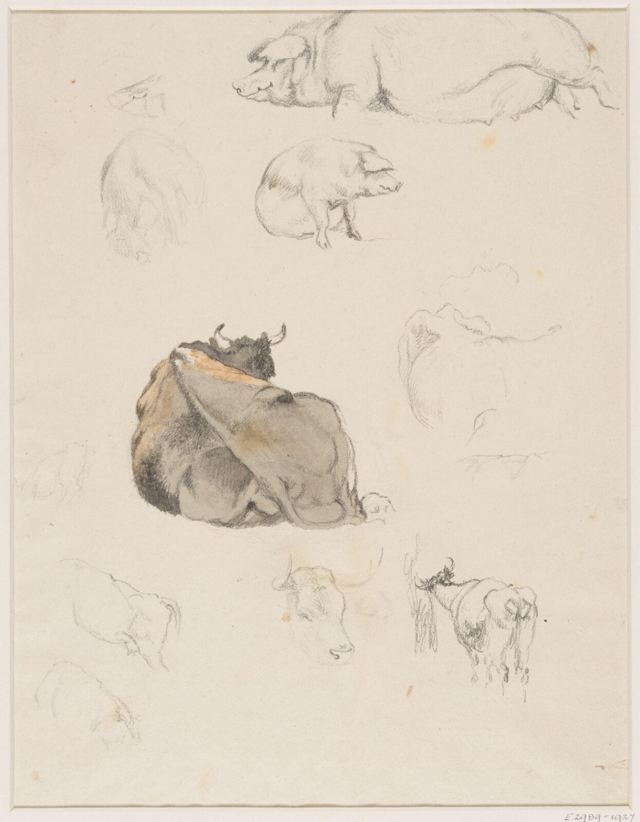 Drawing, Robert Hills, c.1800