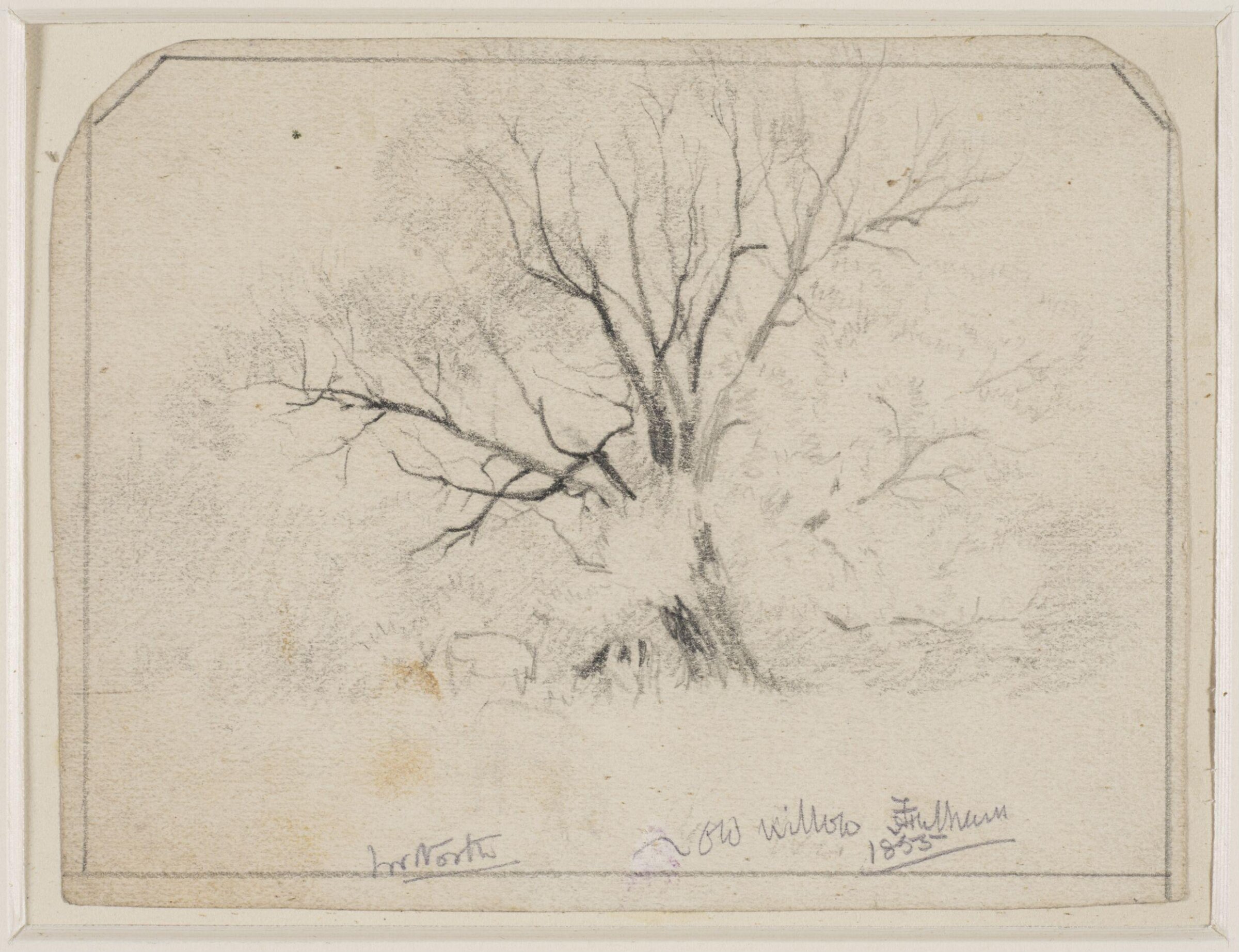 Old Willows, Fulham., John William North, 1855