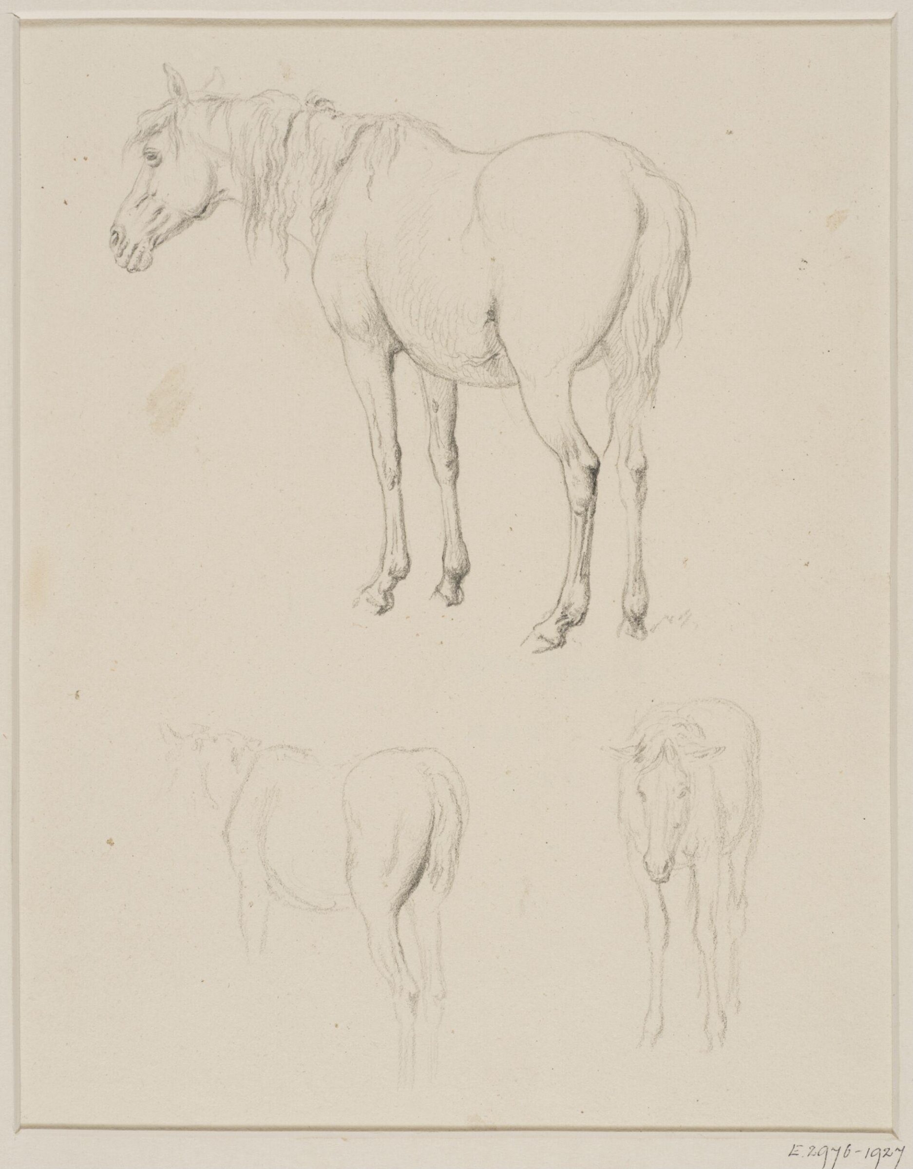 Drawing, Robert Hills, c.1800