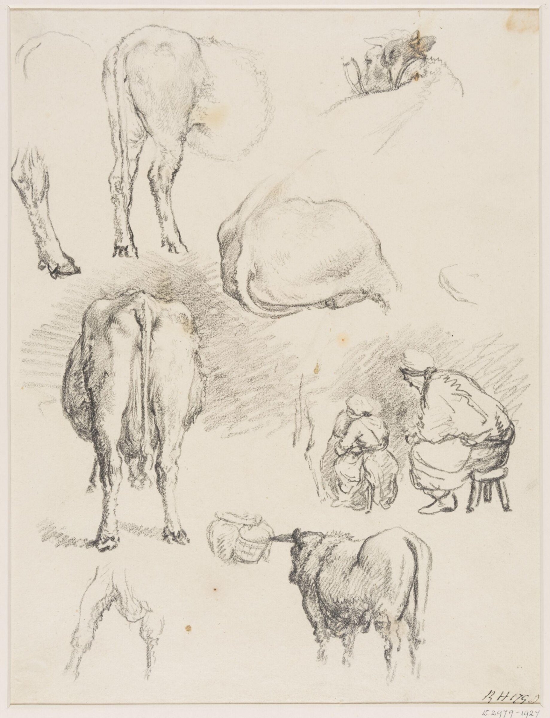 Drawing, Robert Hills, c.1800