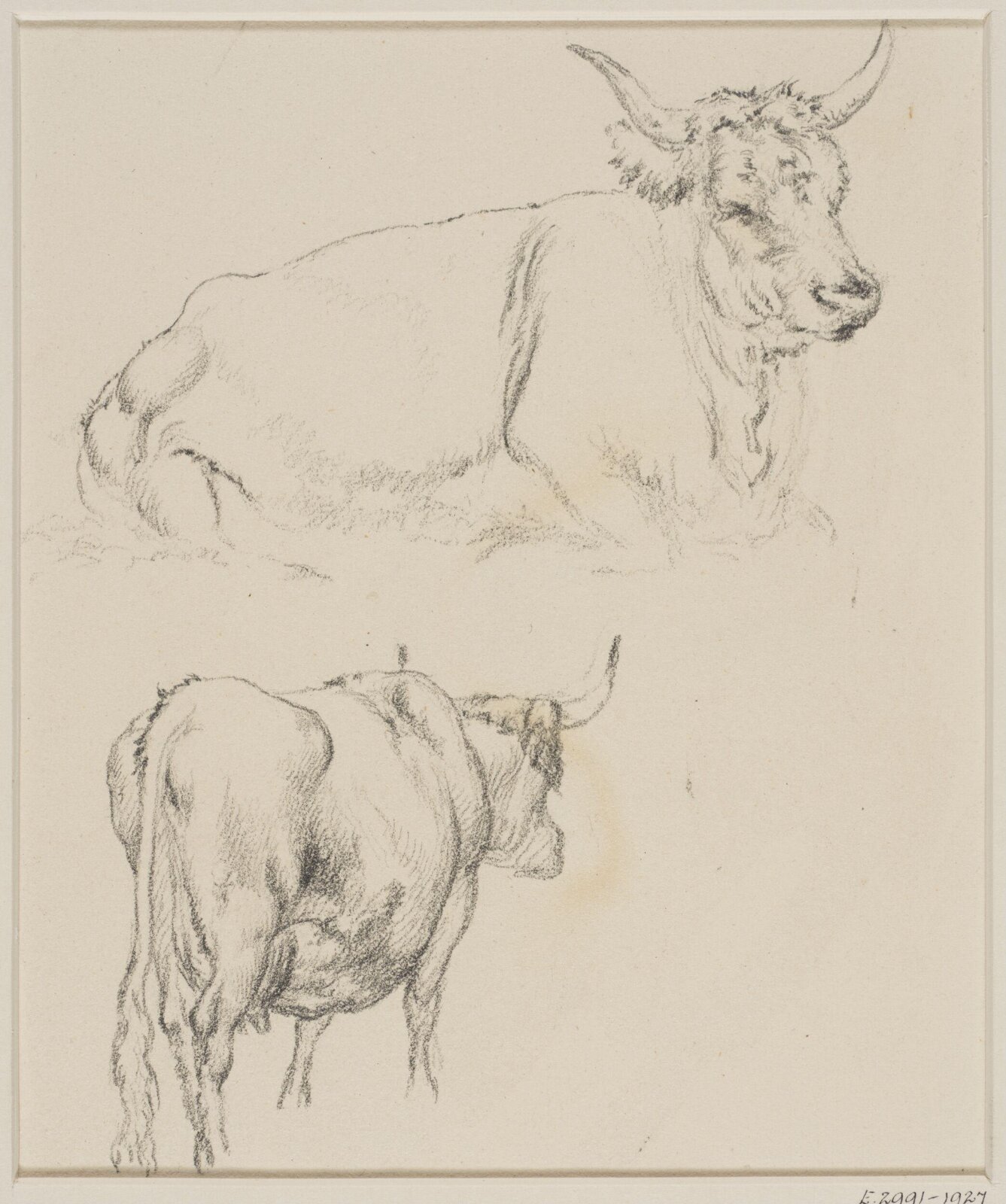 Drawing, Robert Hills, c.1800
