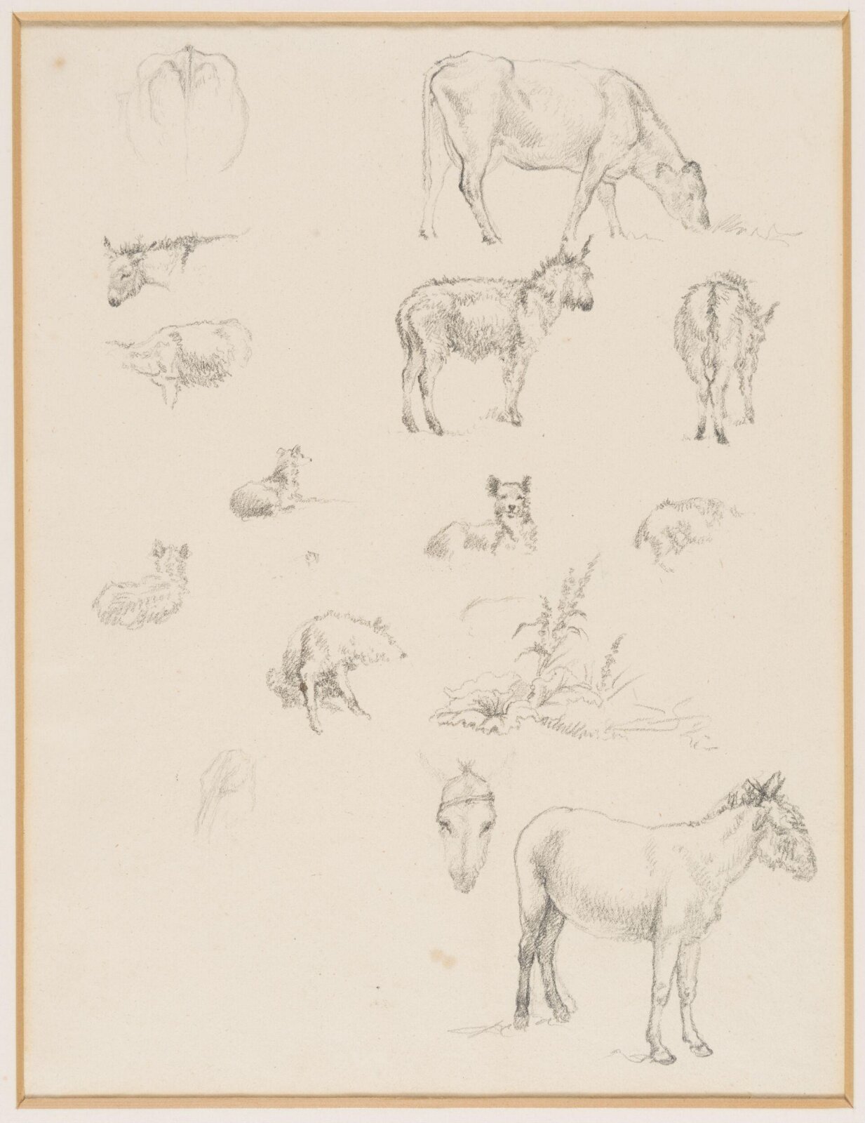 Drawing, Robert Hills, c.1800