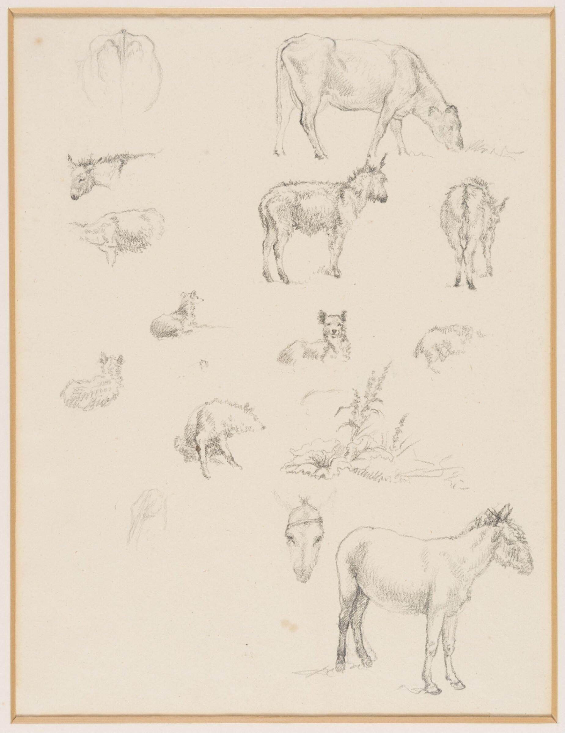 Drawing, Robert Hills, c.1800
