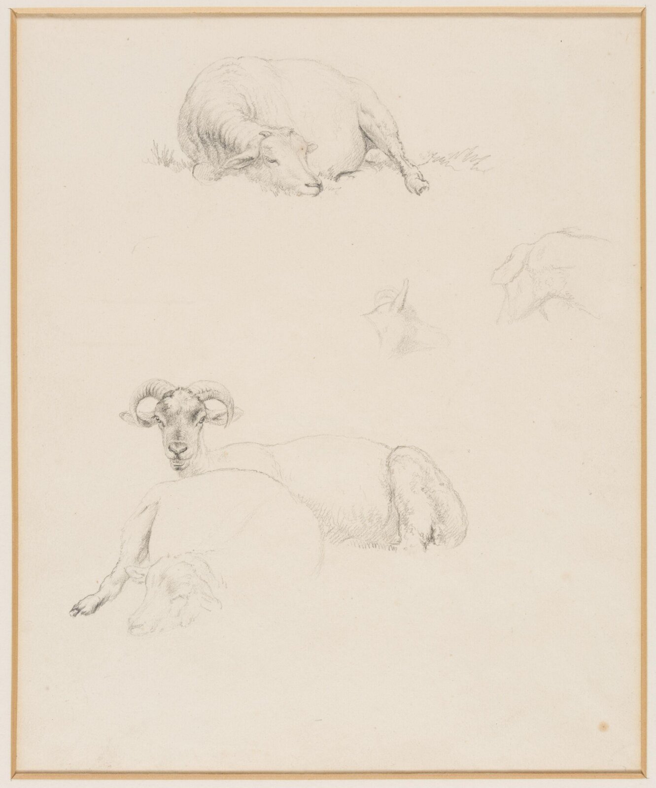 Drawing, Robert Hills, c.1800