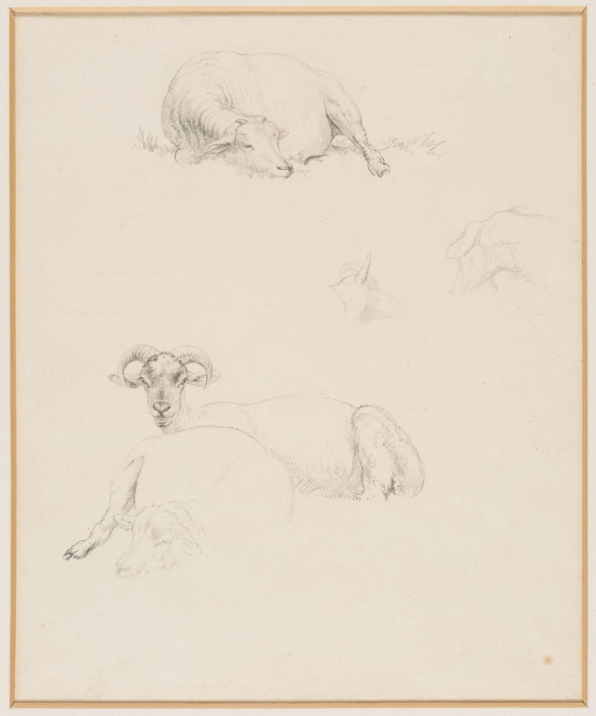 Drawing, Robert Hills, c.1800