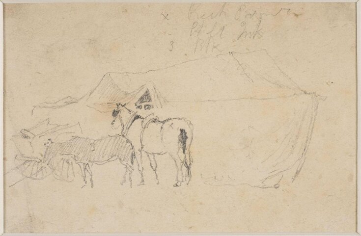 Two horses standing outside a tent top image