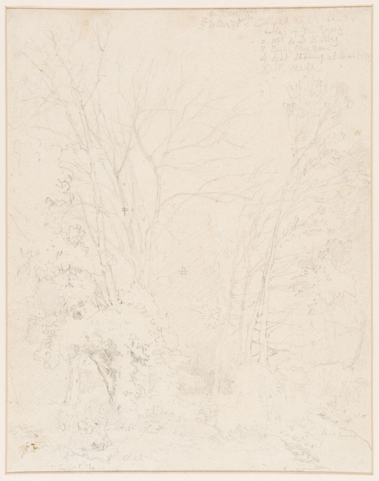 Study of trees, John Sell Cotman, ca. 1805