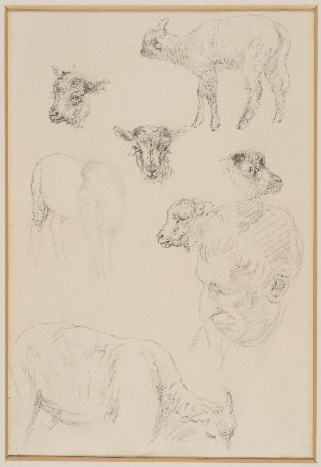Drawing, Robert Hills, c.1800