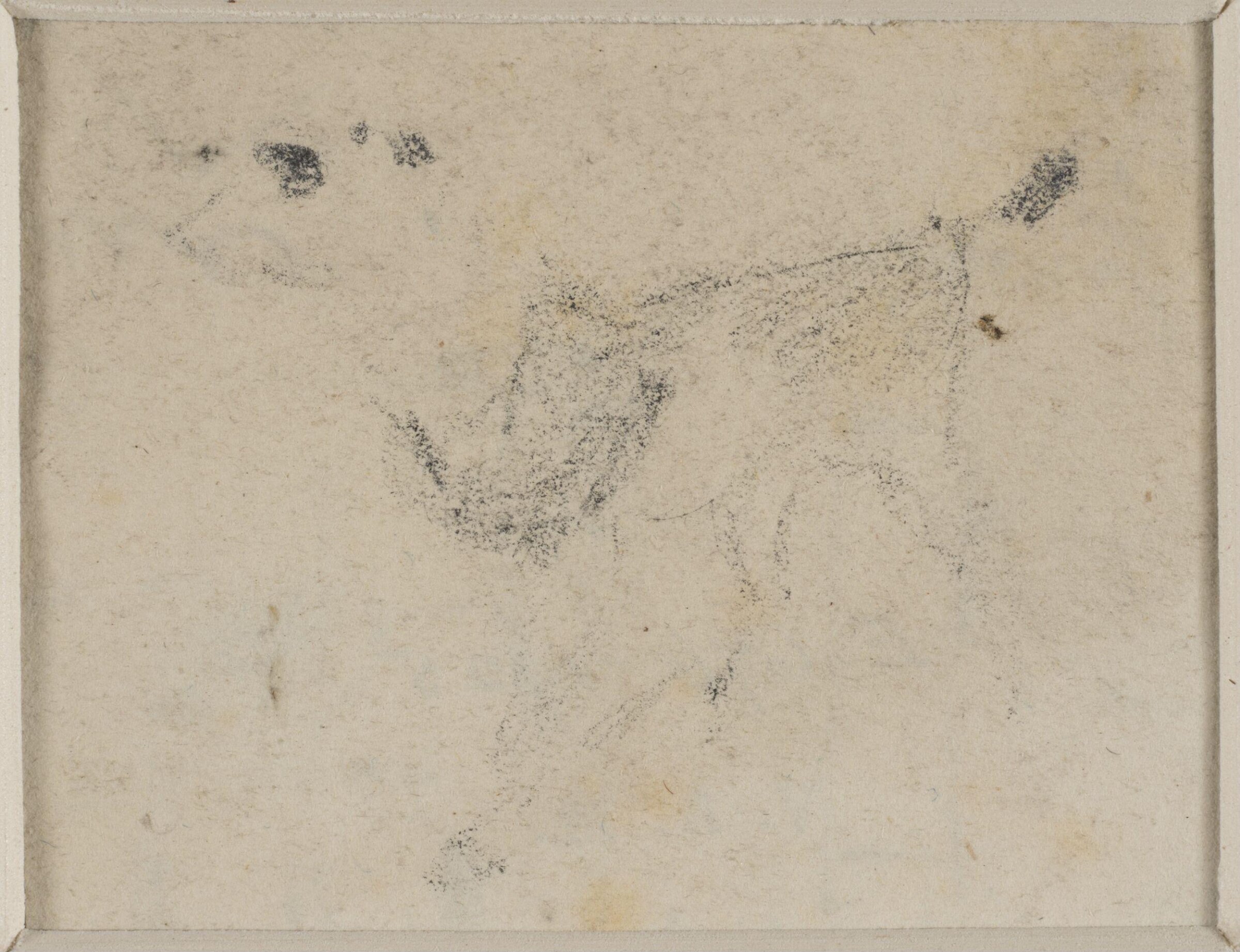 Study of a calf, Джон Селл Котман, ок. 1800–1842
