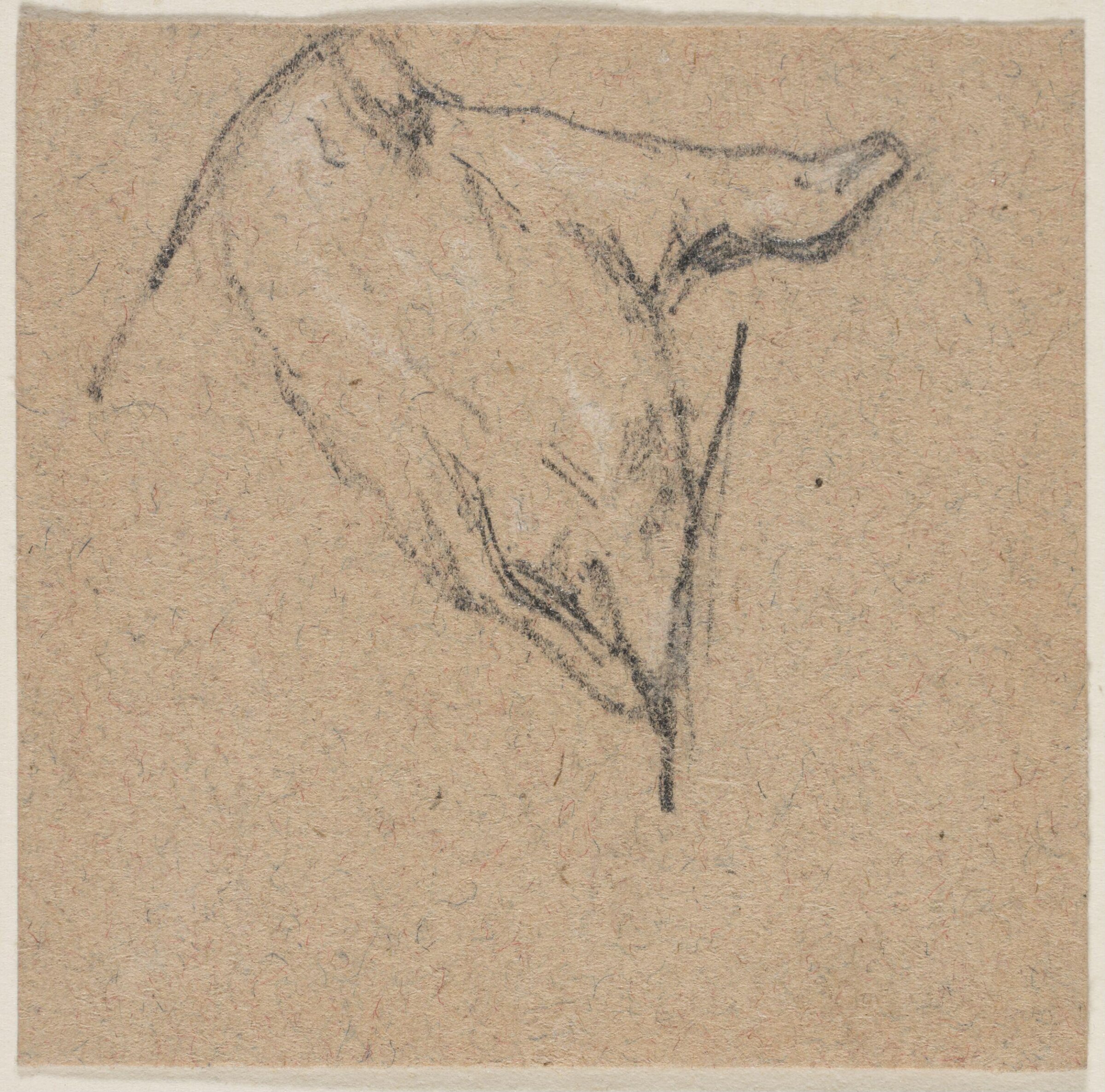 Drawing, Richard James Lane, 1800-1872