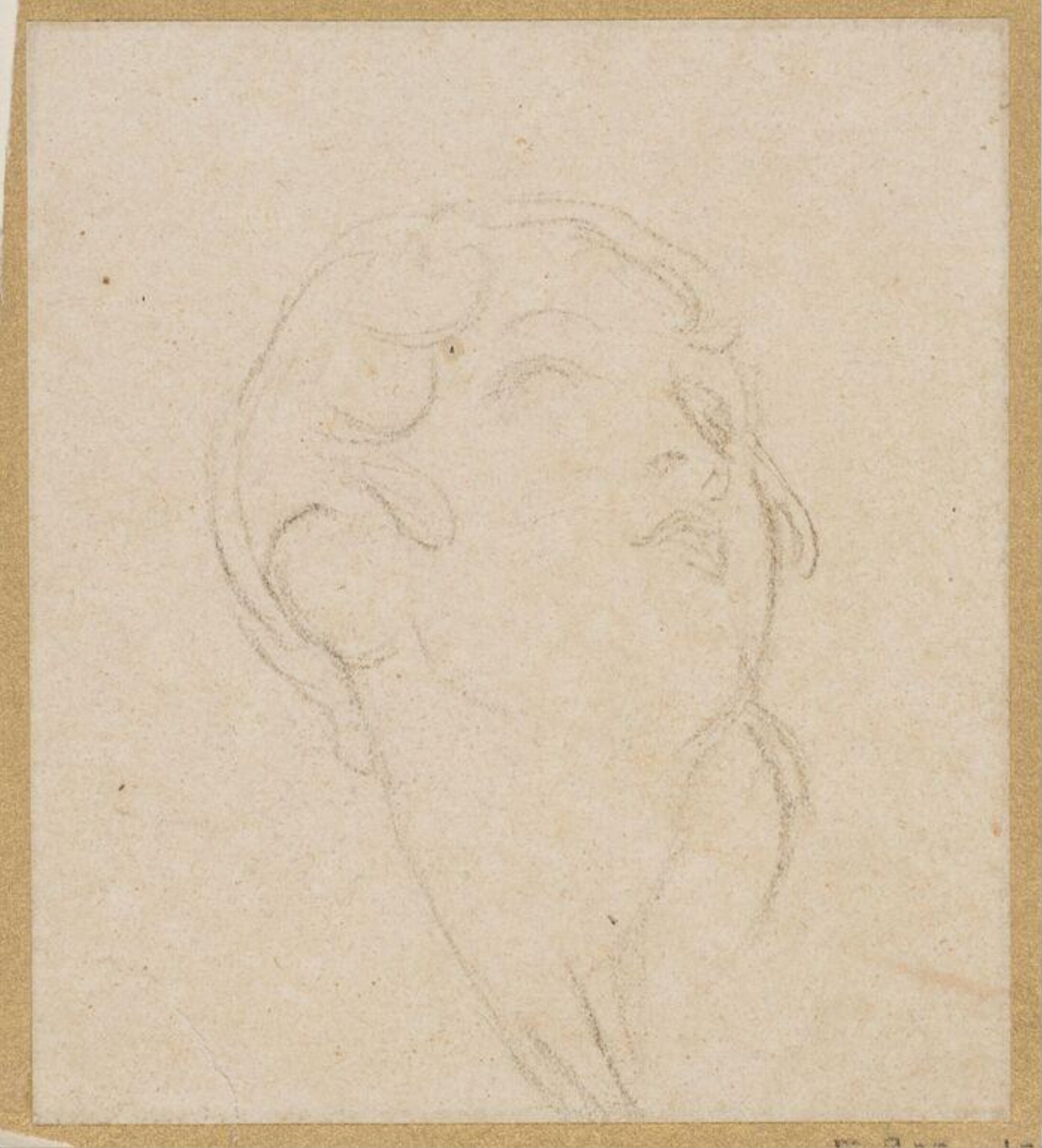 Sketch of the head of a young woman, possibly Eliza O'Neill, Thomas Lawrence