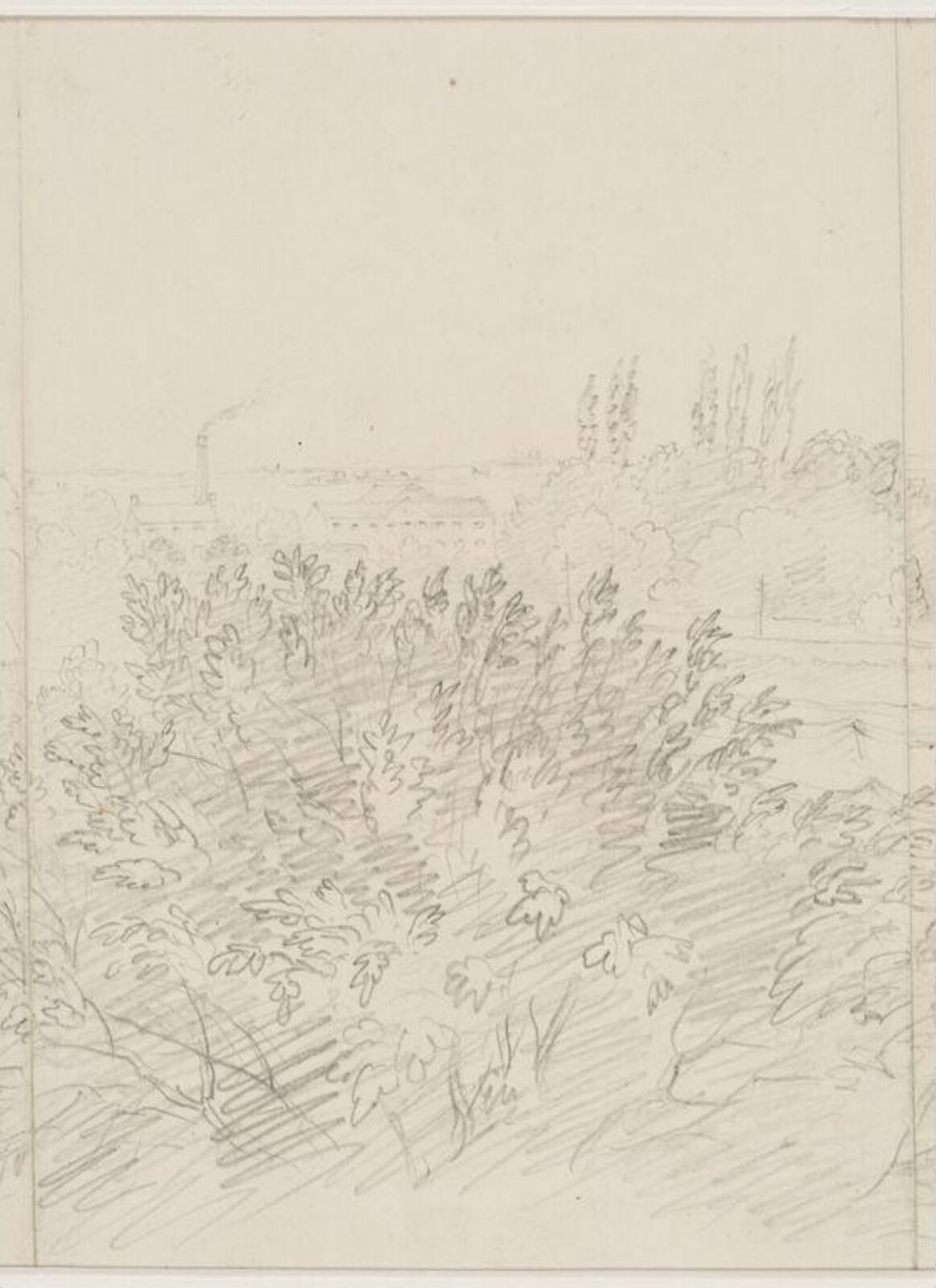 Drawing