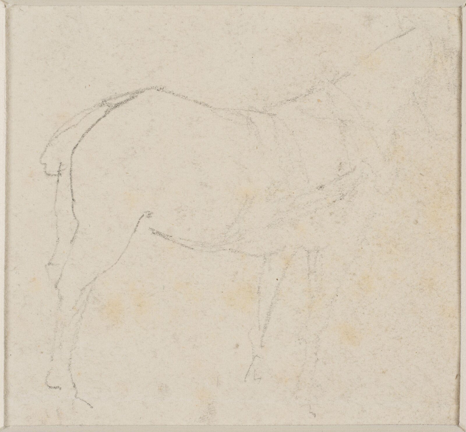 Study of a horse, John Sell Cotman, ca. 1820s