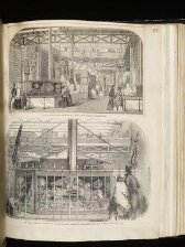 Great Exhibition 1851 illustration thumbnail 2