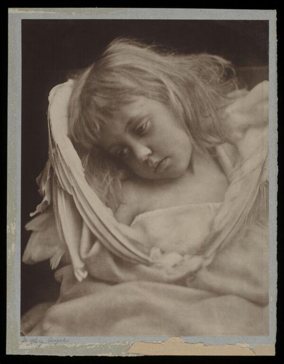 Cameron, Julia Margaret, Cupid