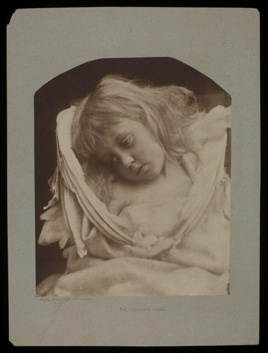 Cameron, Julia Margaret, Cupid