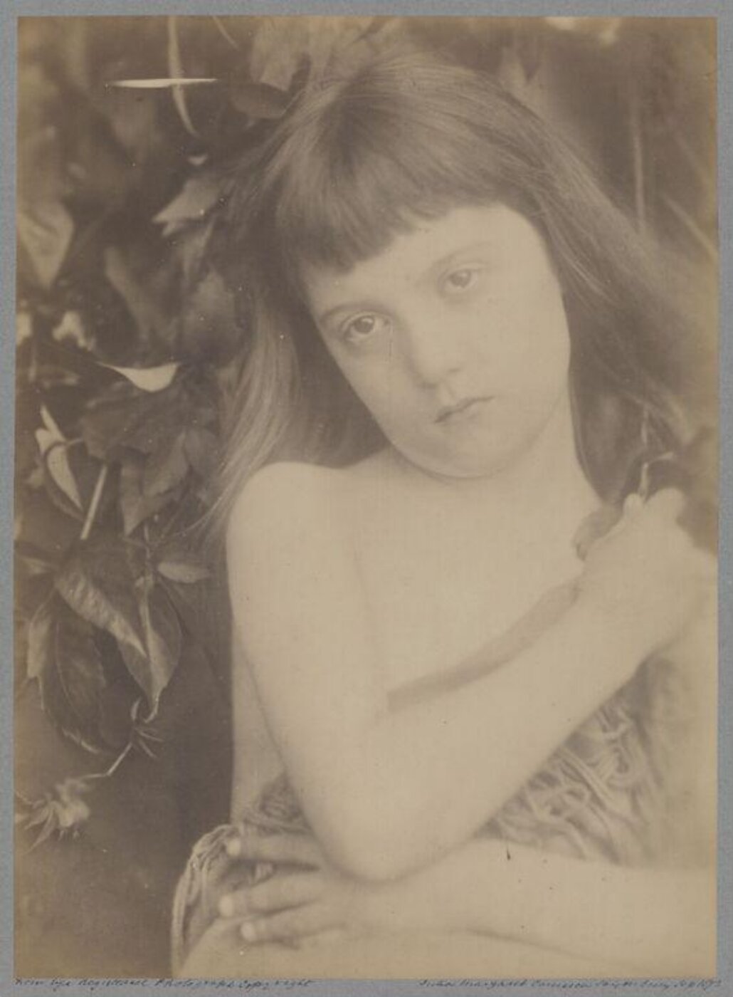 Cameron, Julia Margaret, St. John the Baptist