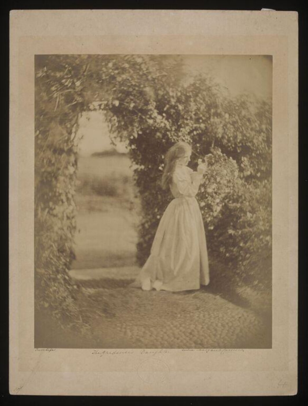 Cameron, Julia Margaret, The Gardener's Daughter