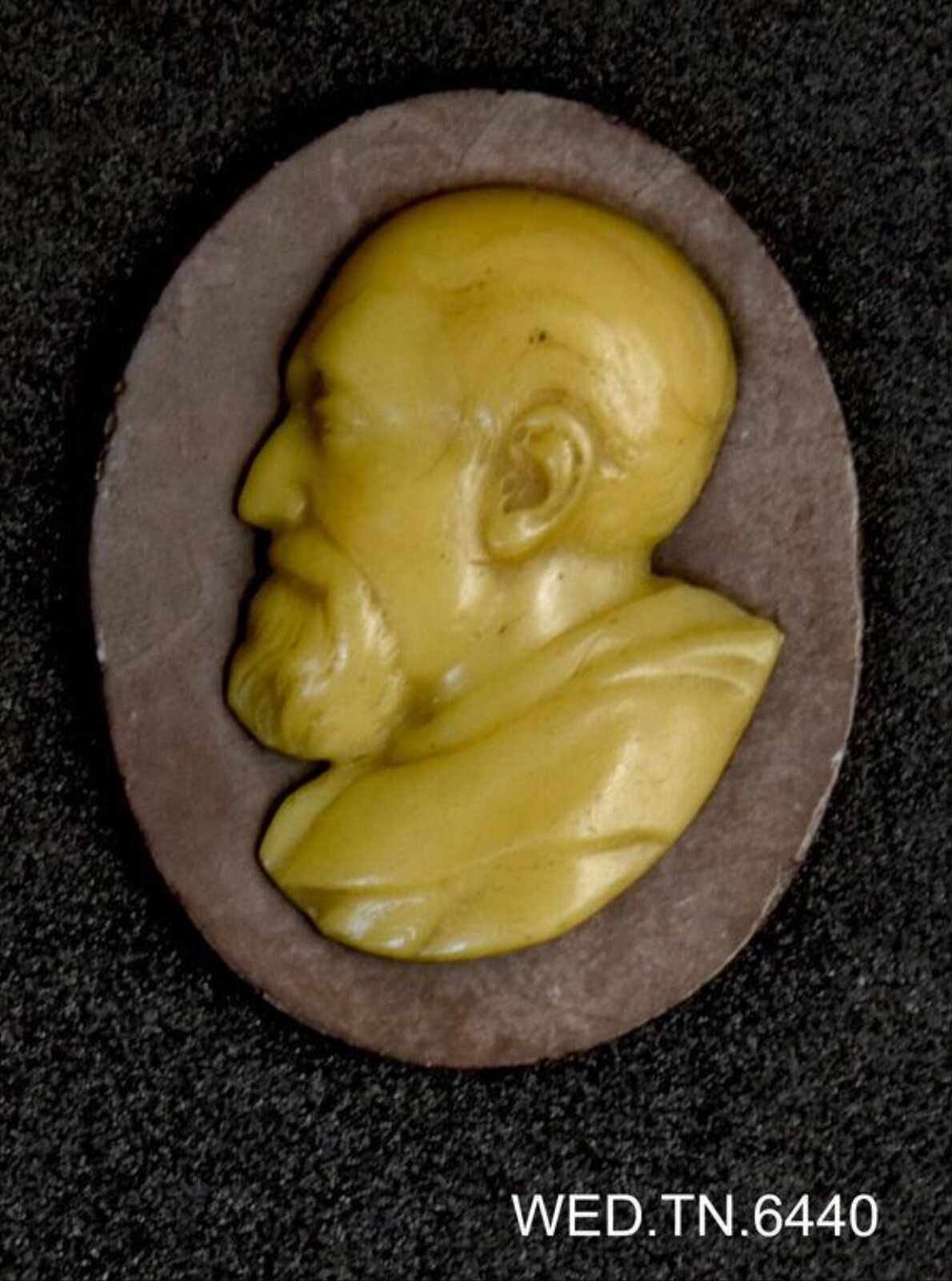 Wax model