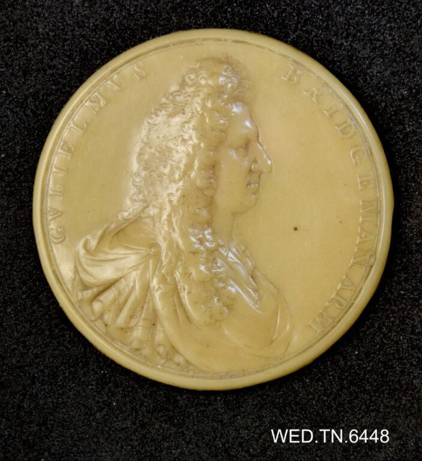 Wax model
