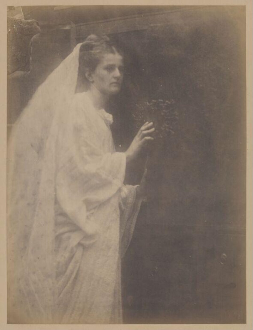 Cameron, Julia Margaret, Enid