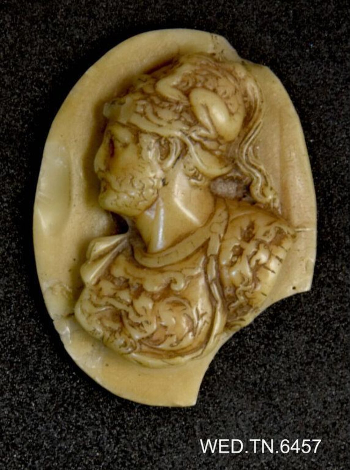 Wax model
