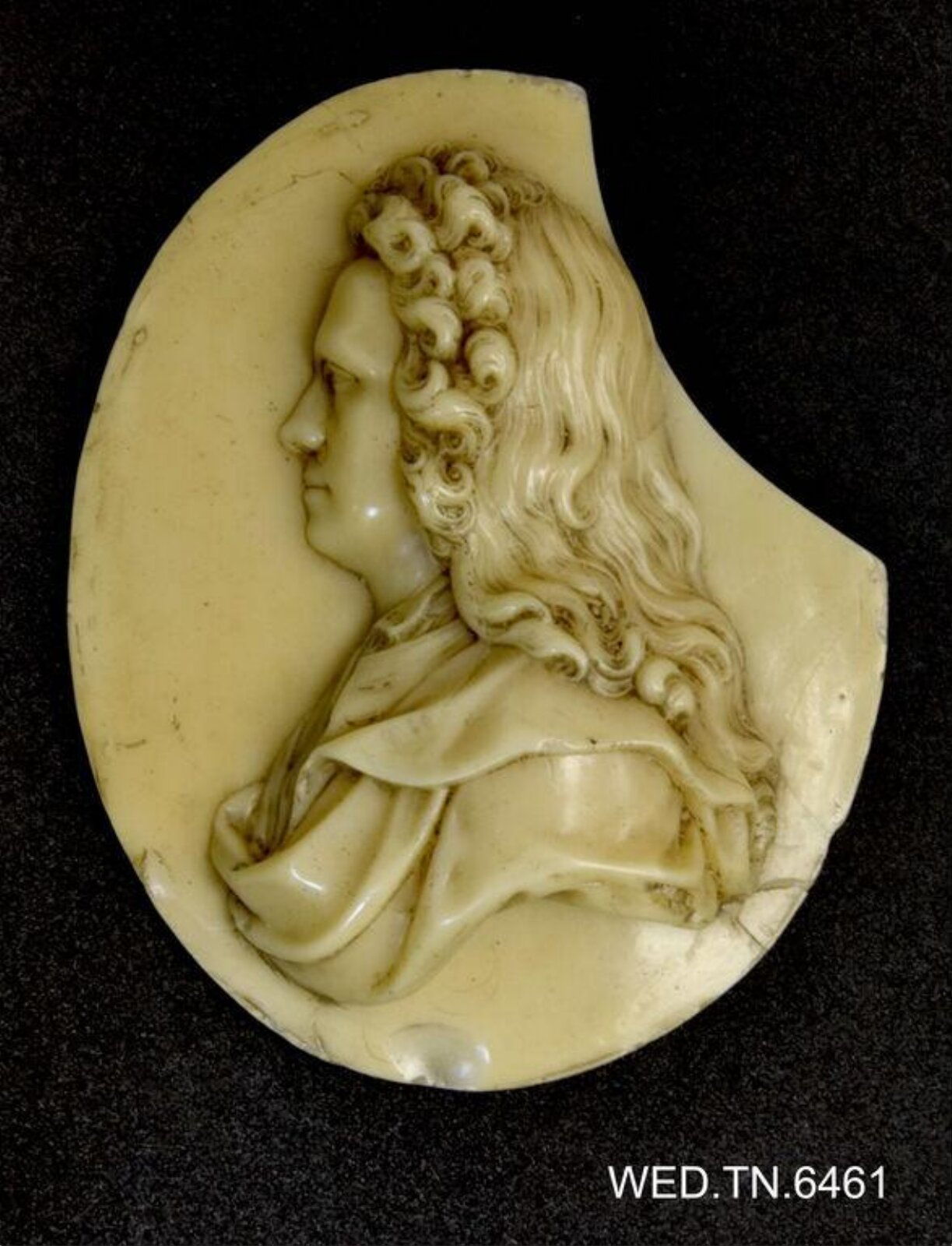 Wax model