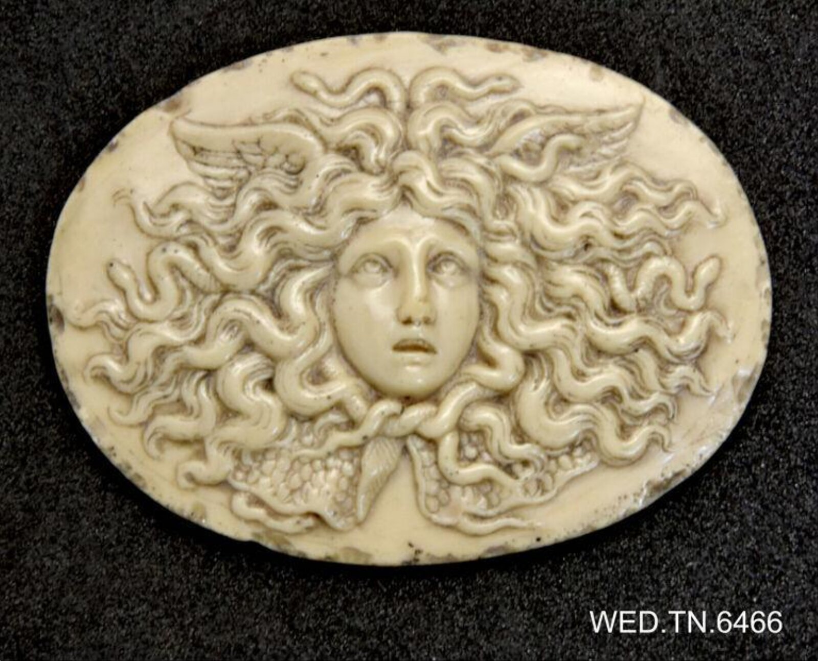 Wax model