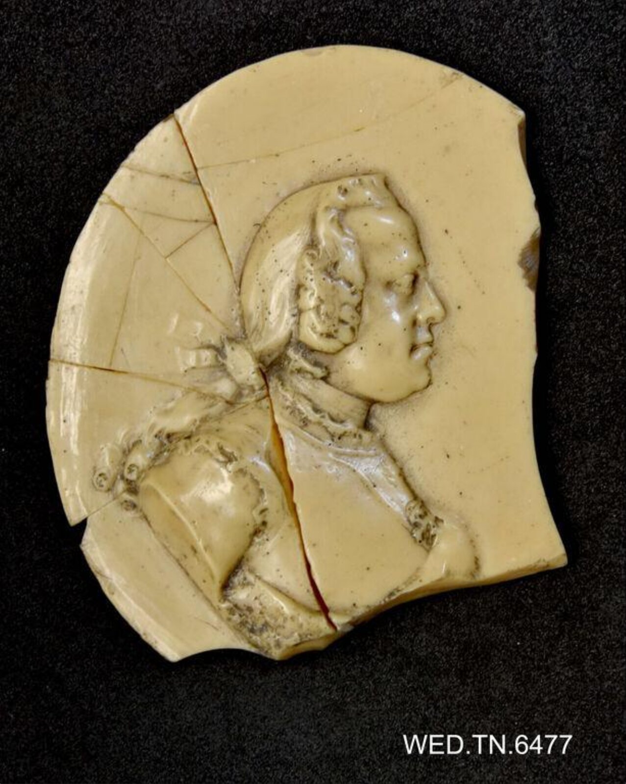 Wax model
