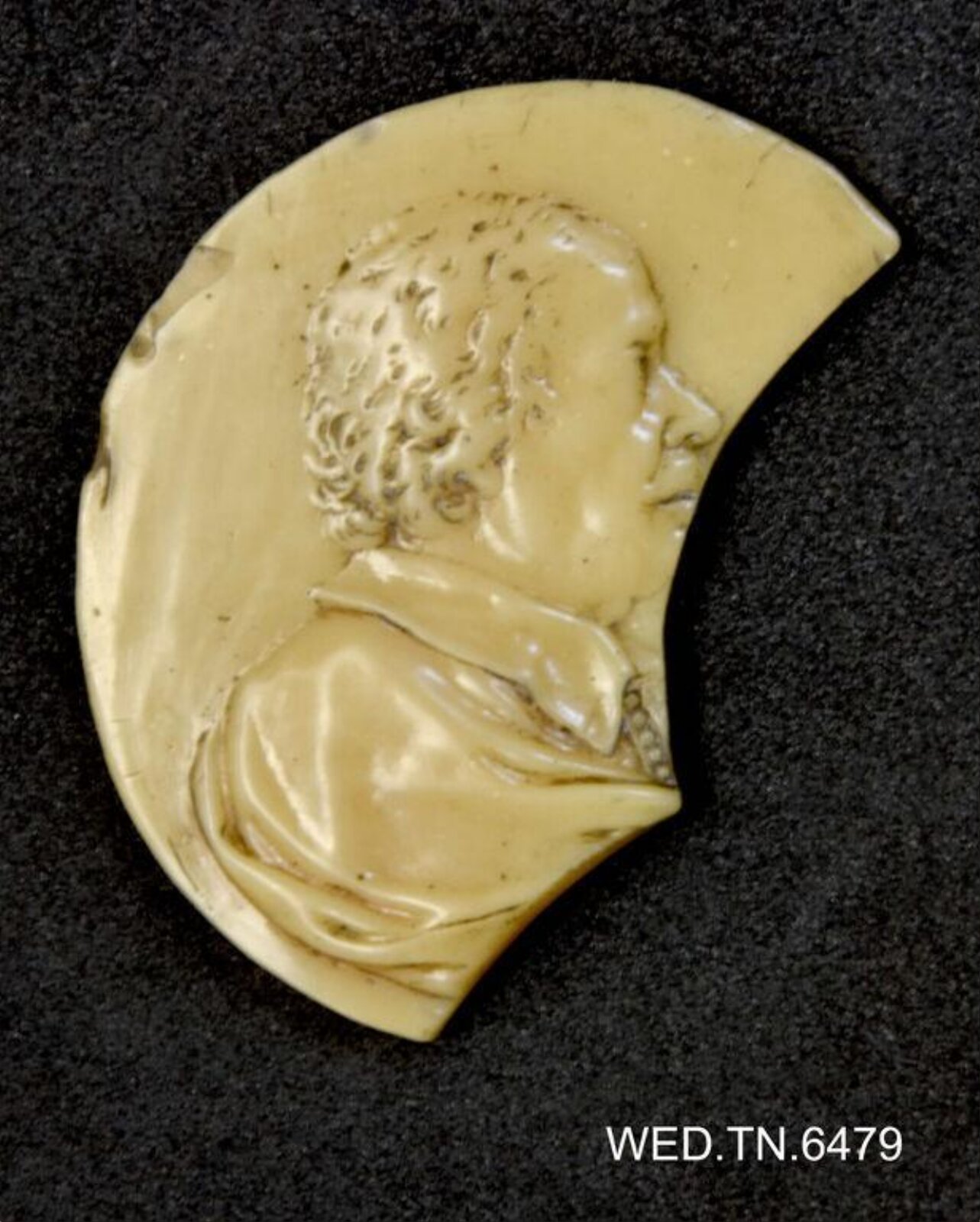 Wax model