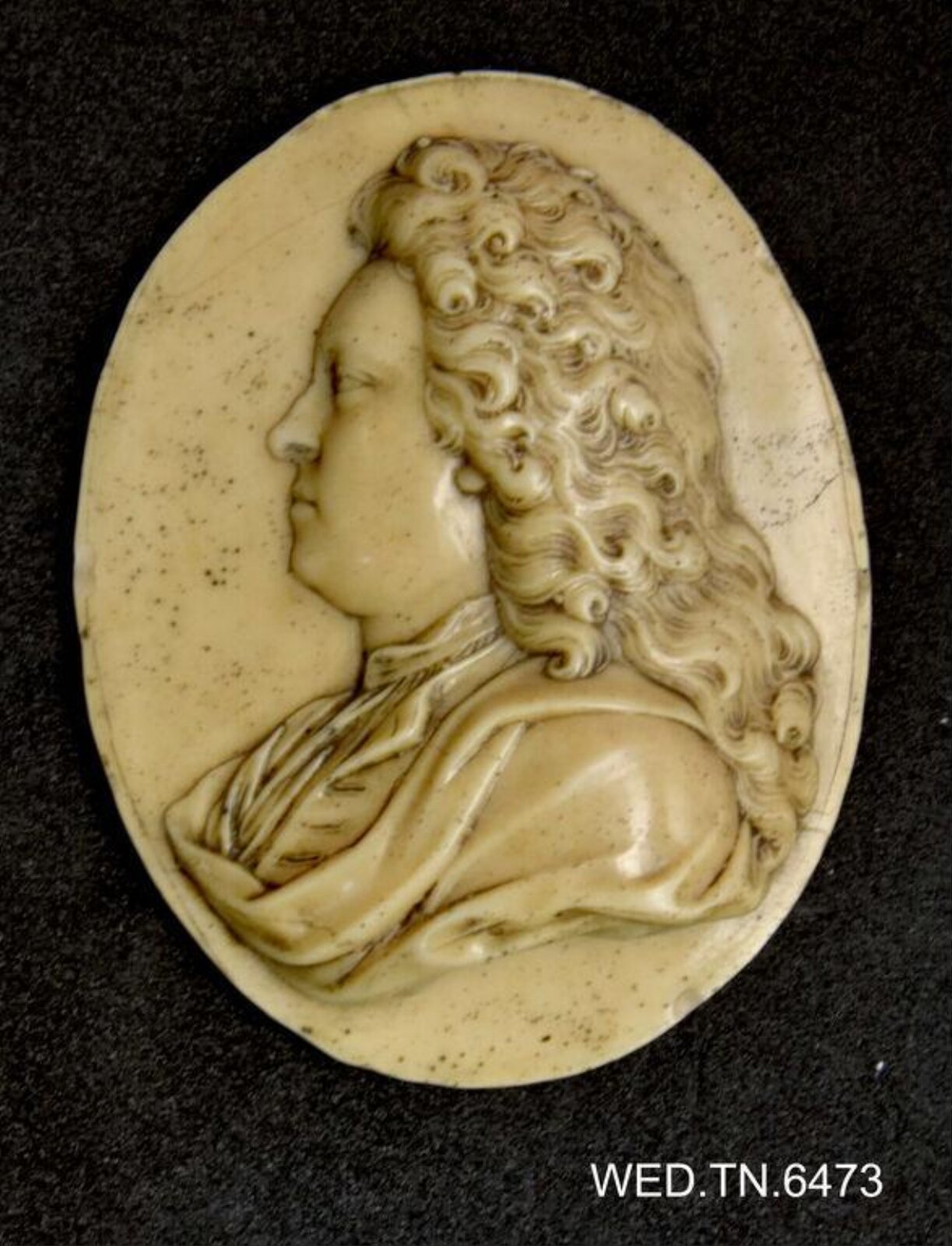 Wax model