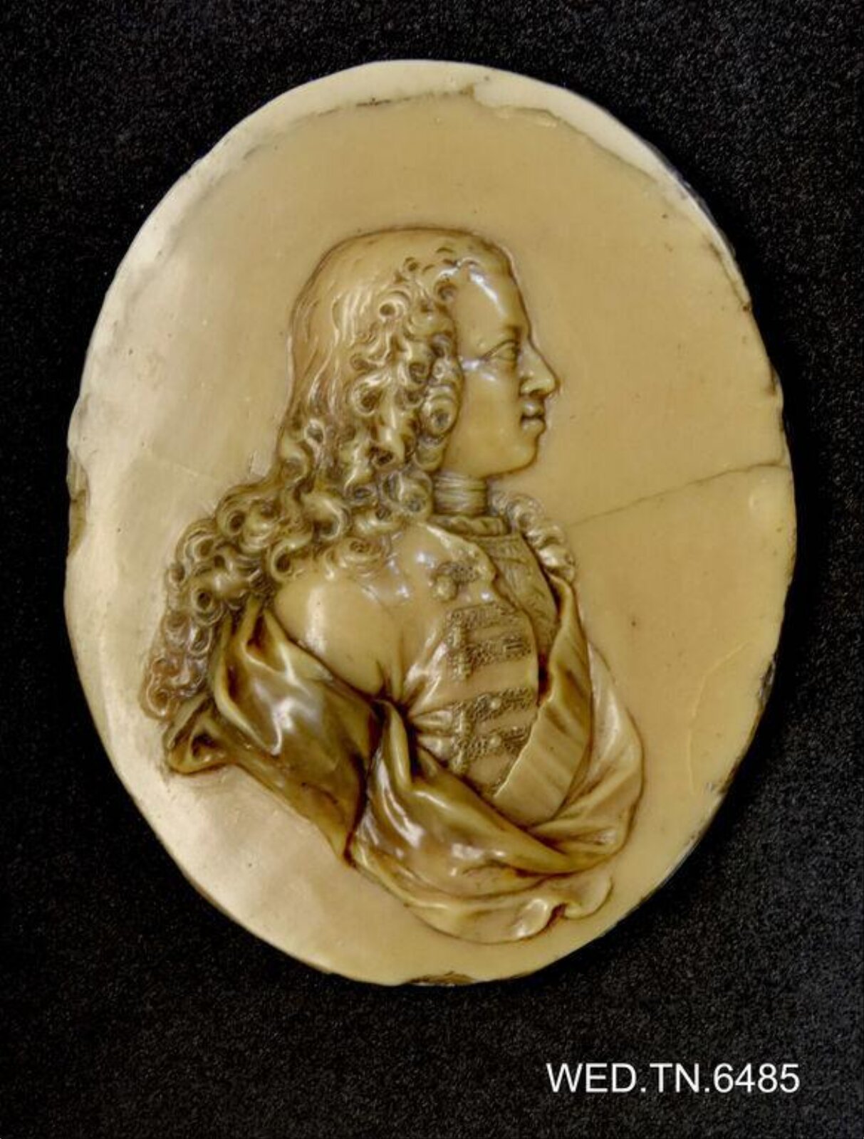 Wax model