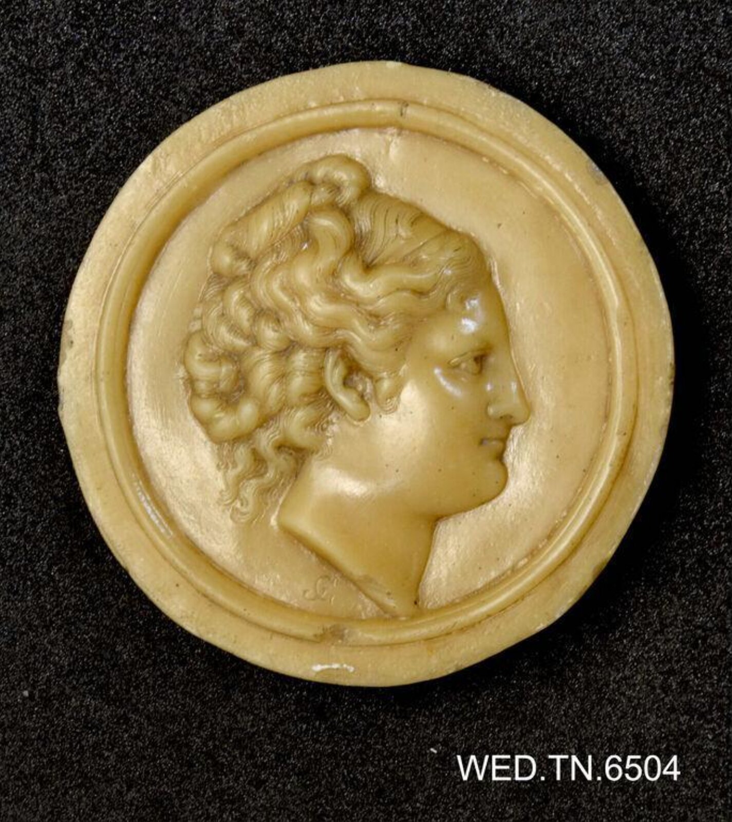 Wax model