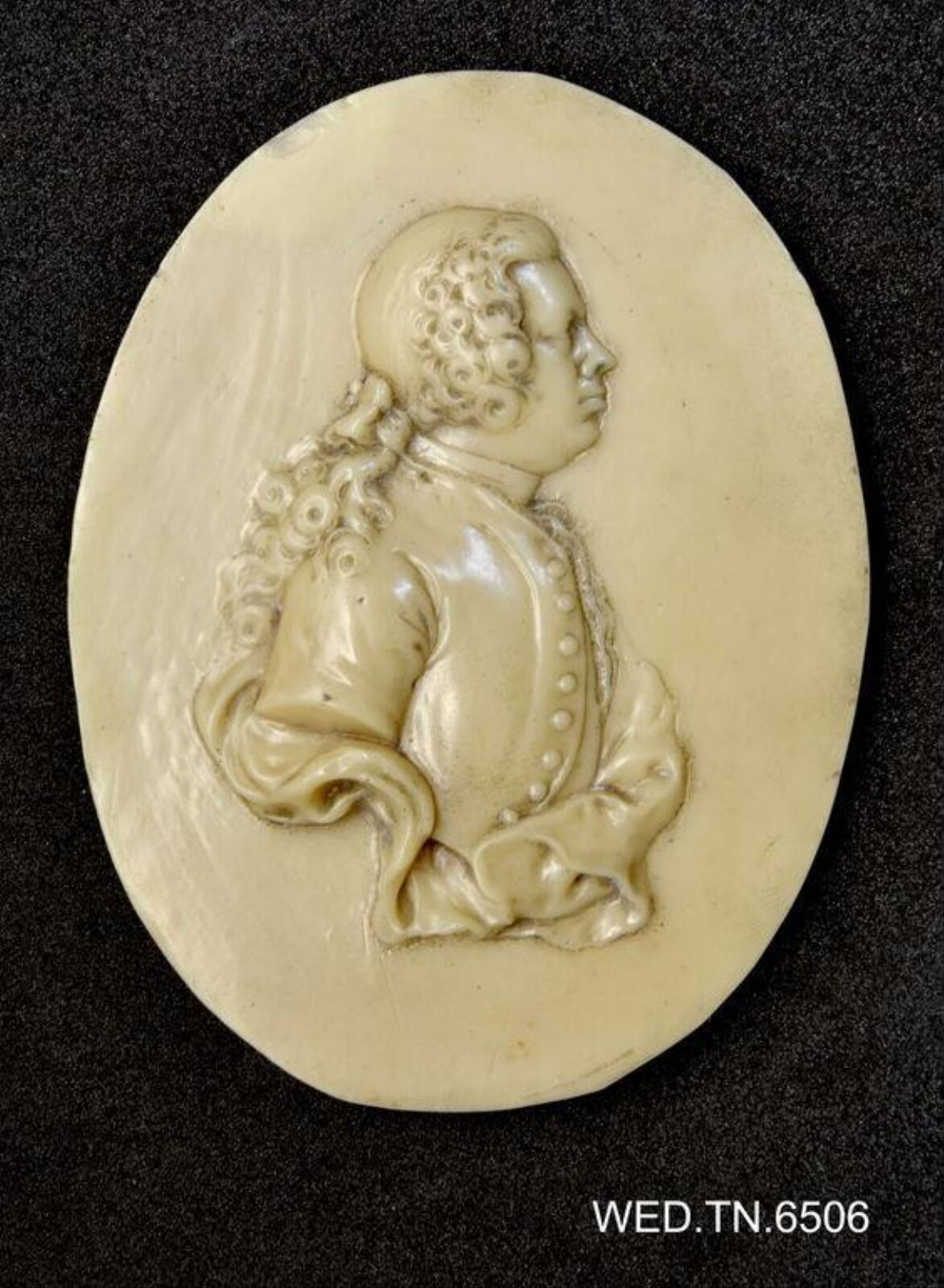 Wax model